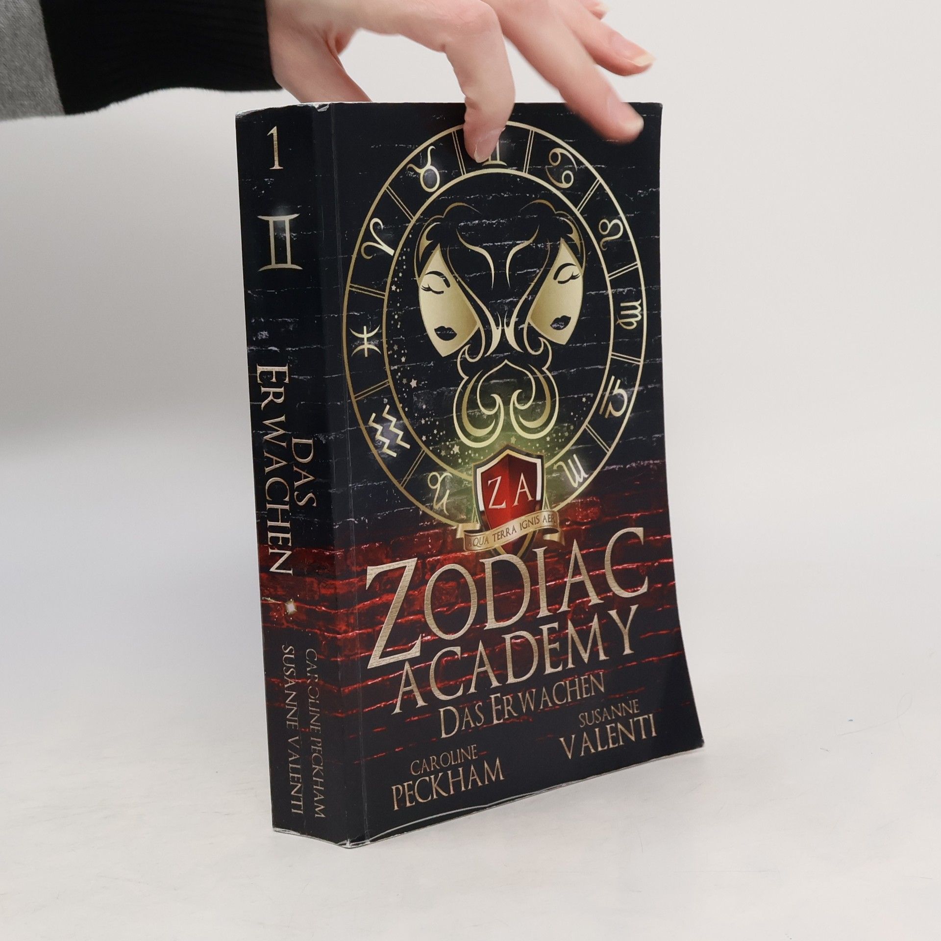 Zodiac Academy: Das Erwachen
