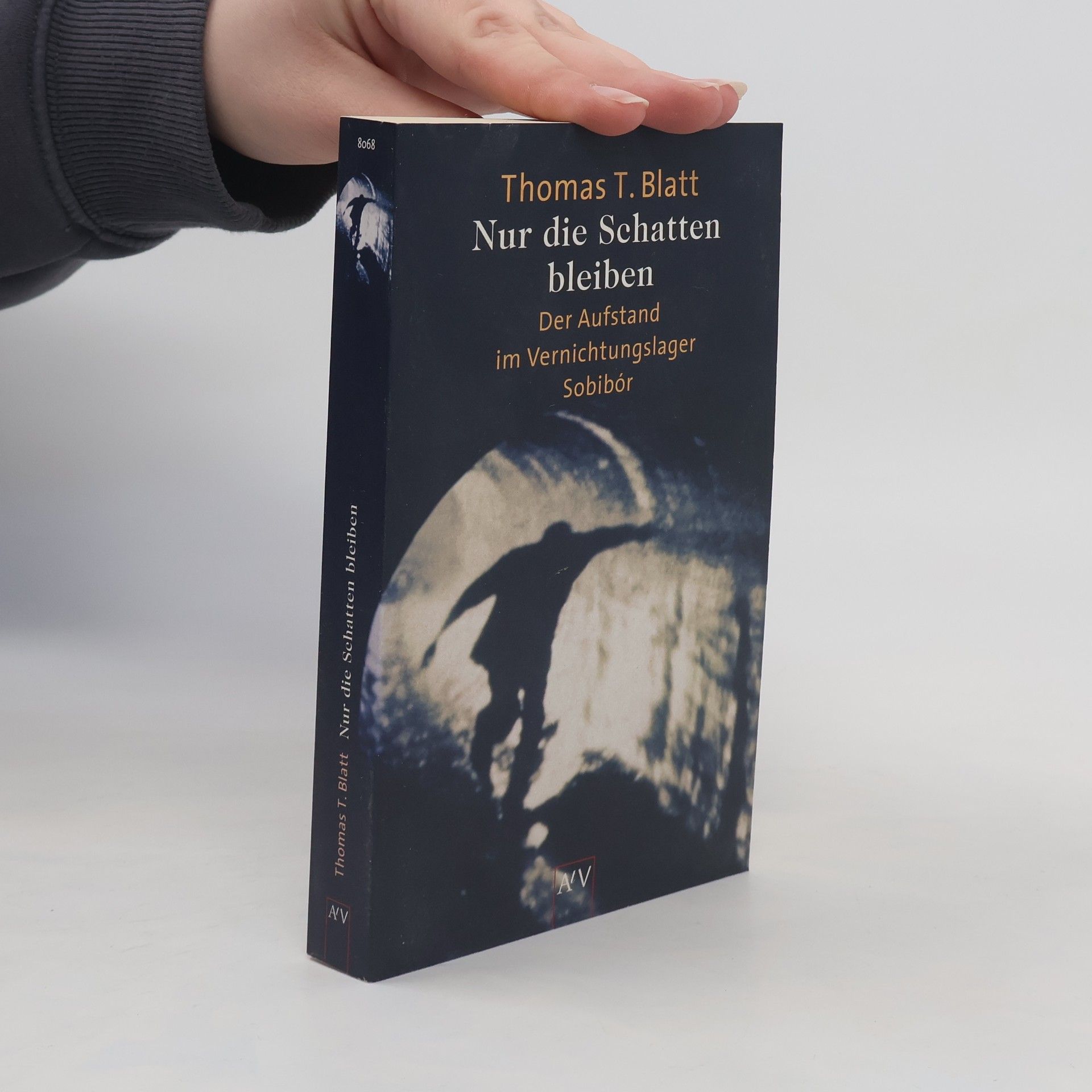 Thomas Blatt Nur die Schatten bleiben