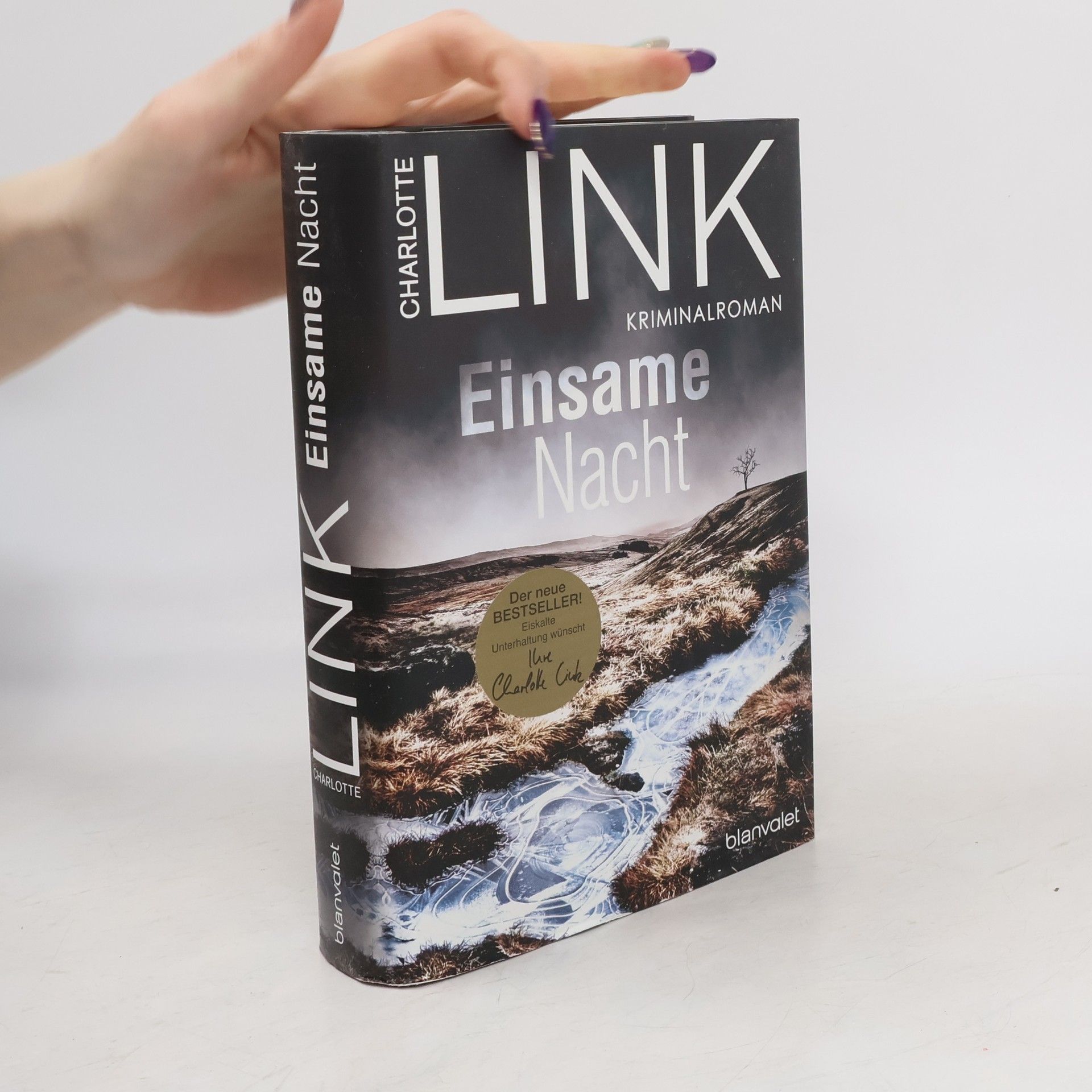 Charlotte Link Einsame Nacht