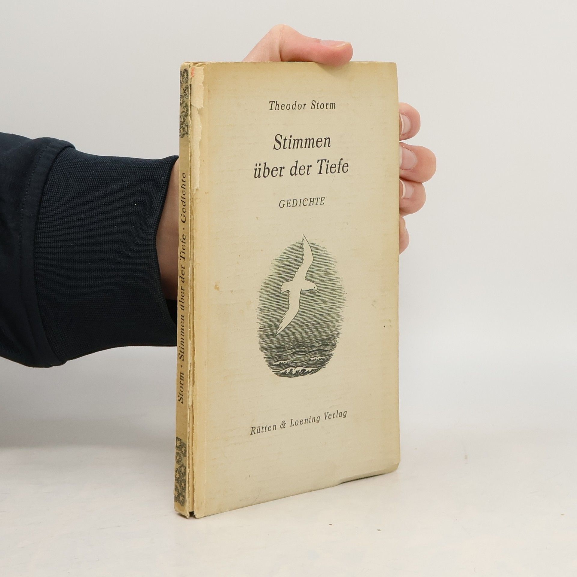 Theodor Storm Stimmen über der Tiefe