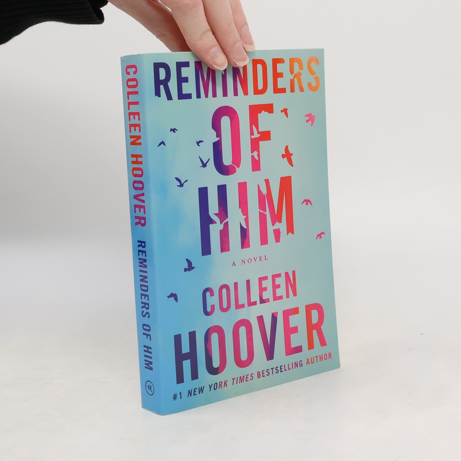Colleen Hoover Reminders of him