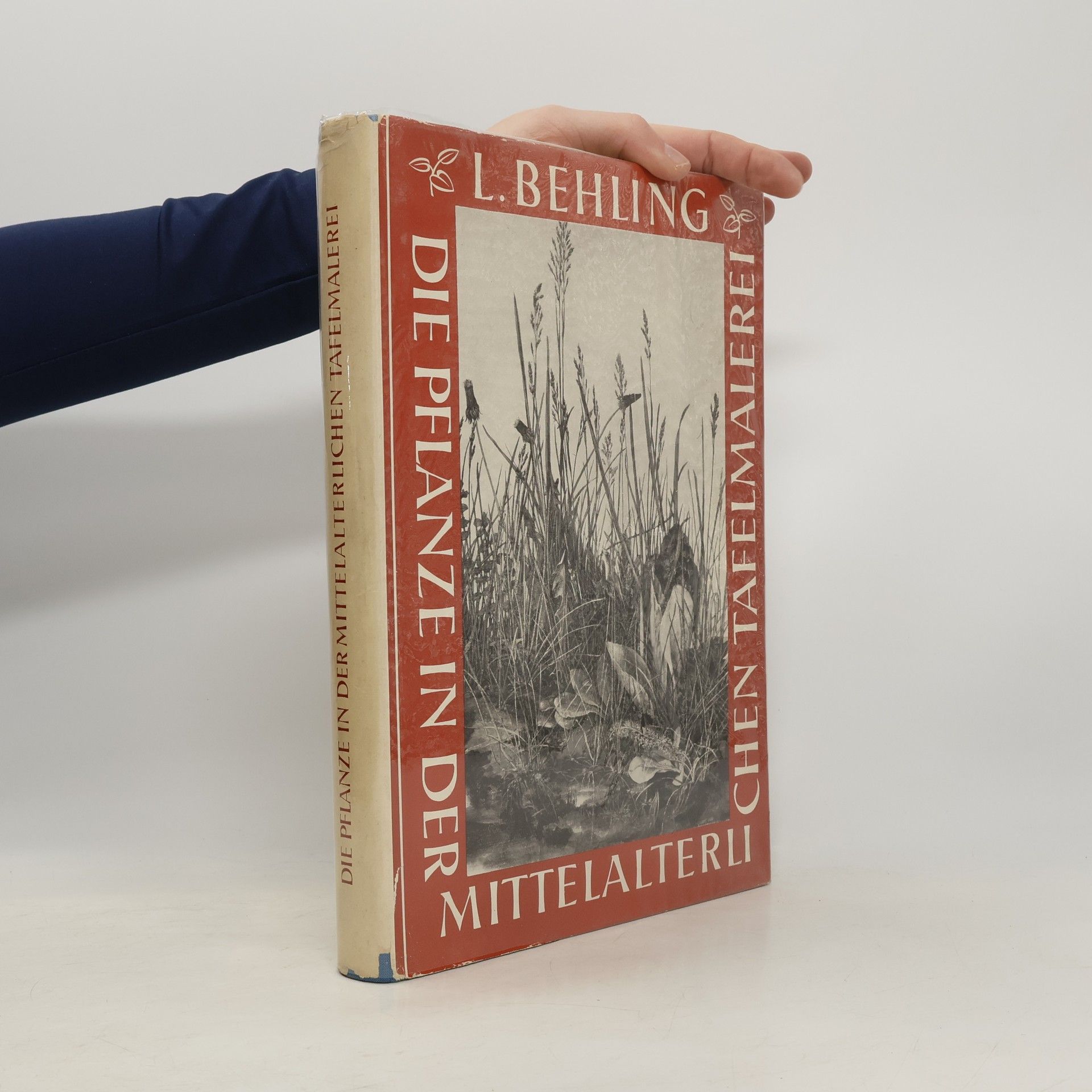 Lottlisa Behling Die Pflanze in der mittelalterlichen Tafelmalerei