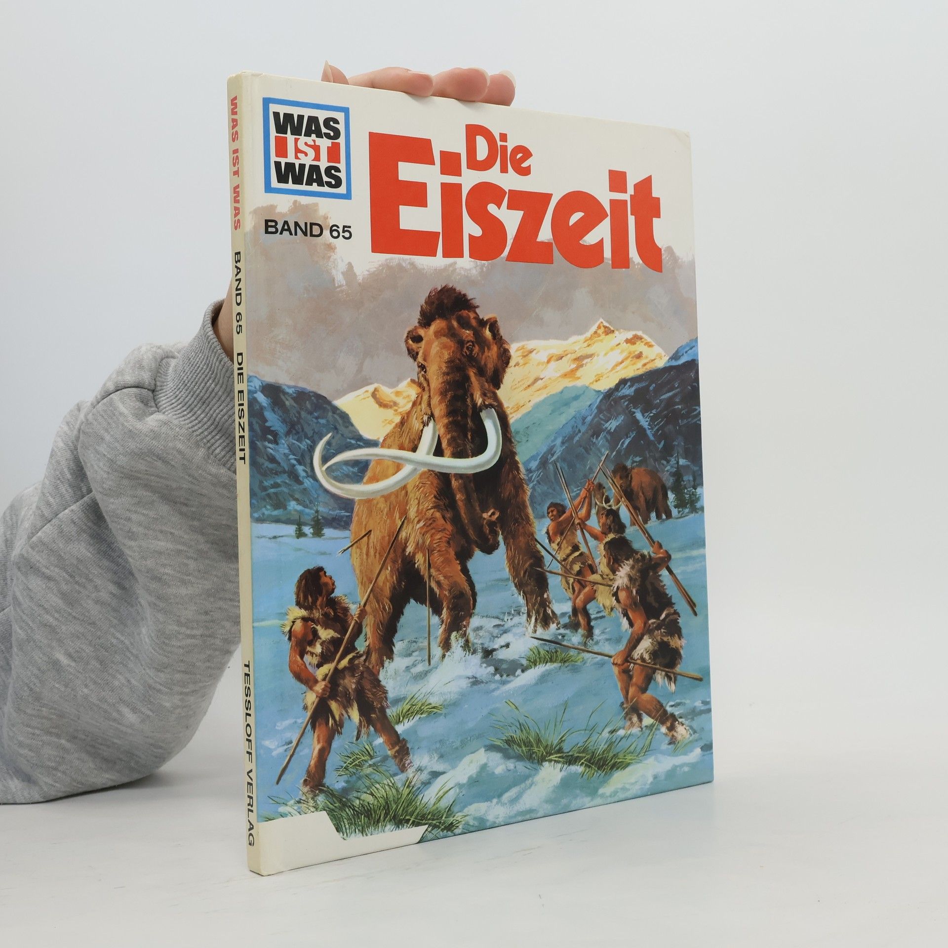 Die Eiszeit