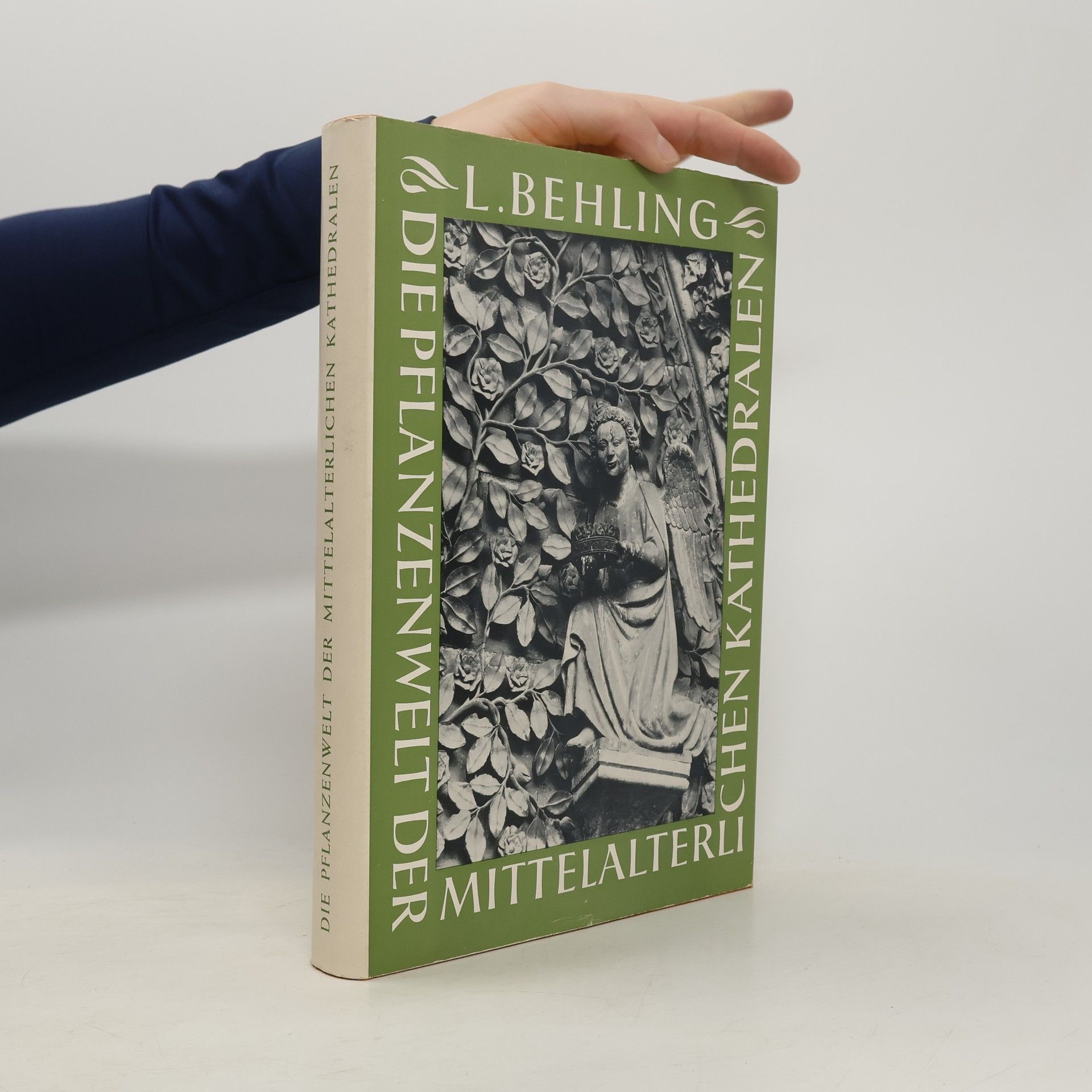 Lottlisa Behling Die Pflanzenwelt der mittelalterlichen Kathedralen