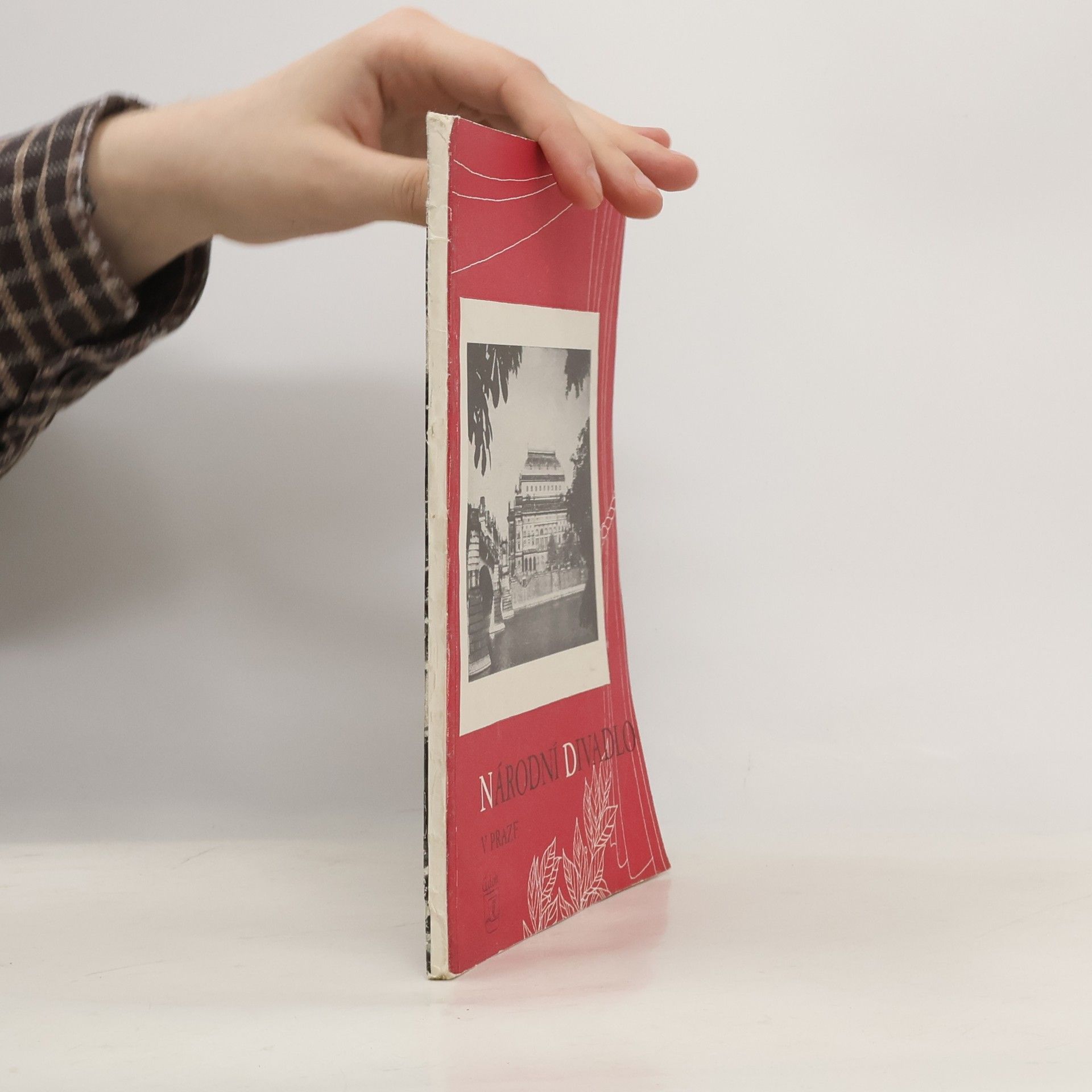 Kolektiv autorů Národní divadlo v Praze