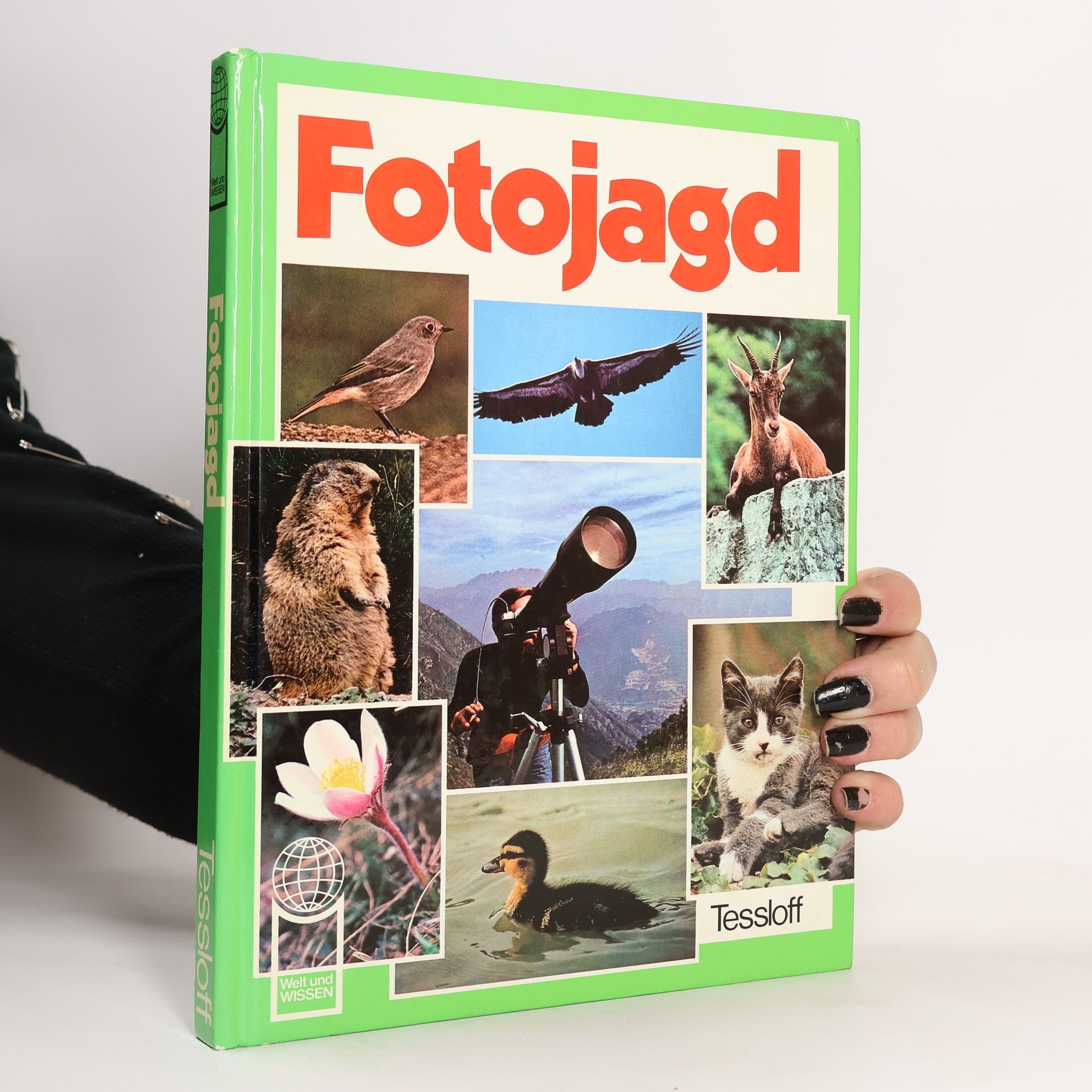 Giorgio P. Panini Fotojagd