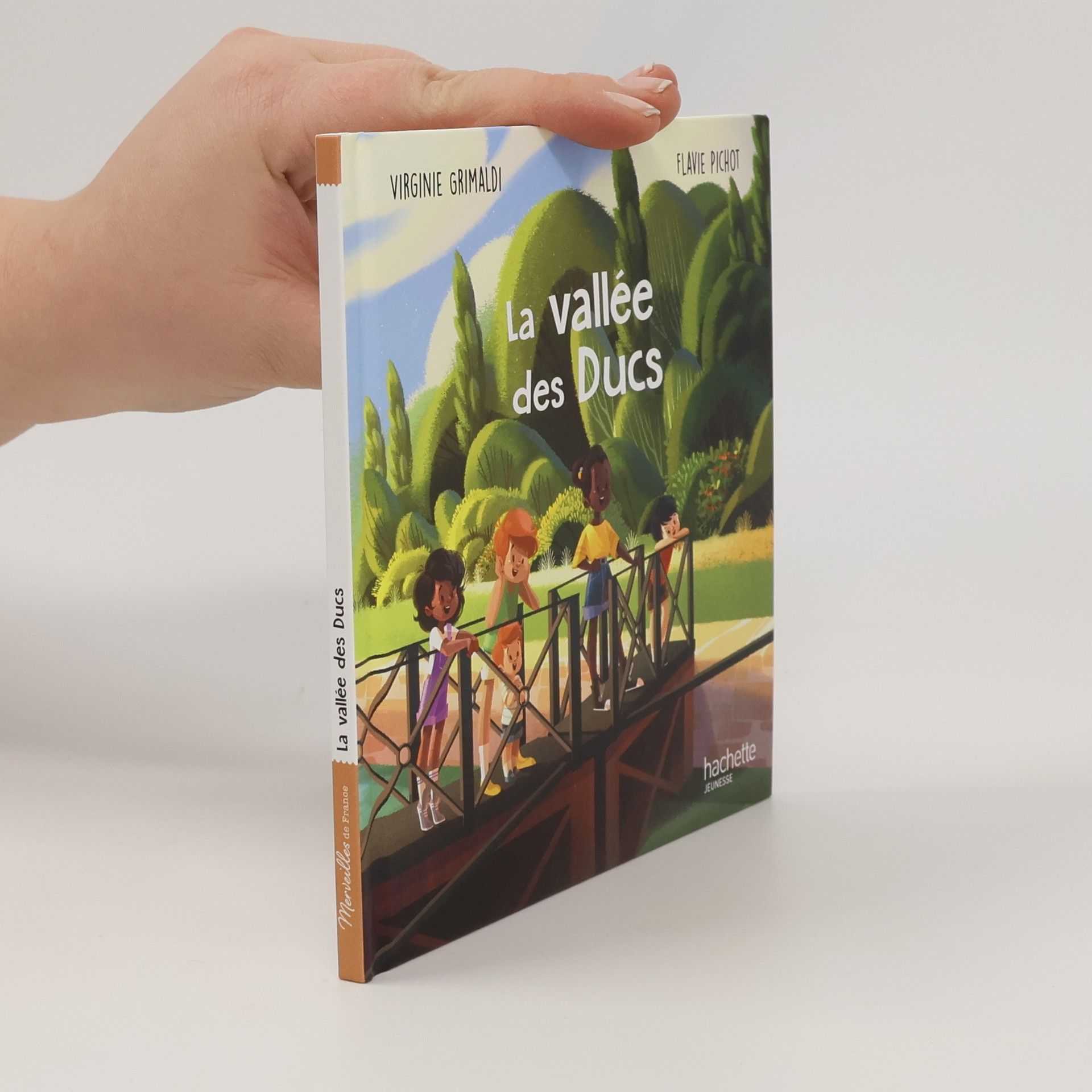 Virginie Grimaldi La vallée des ducs