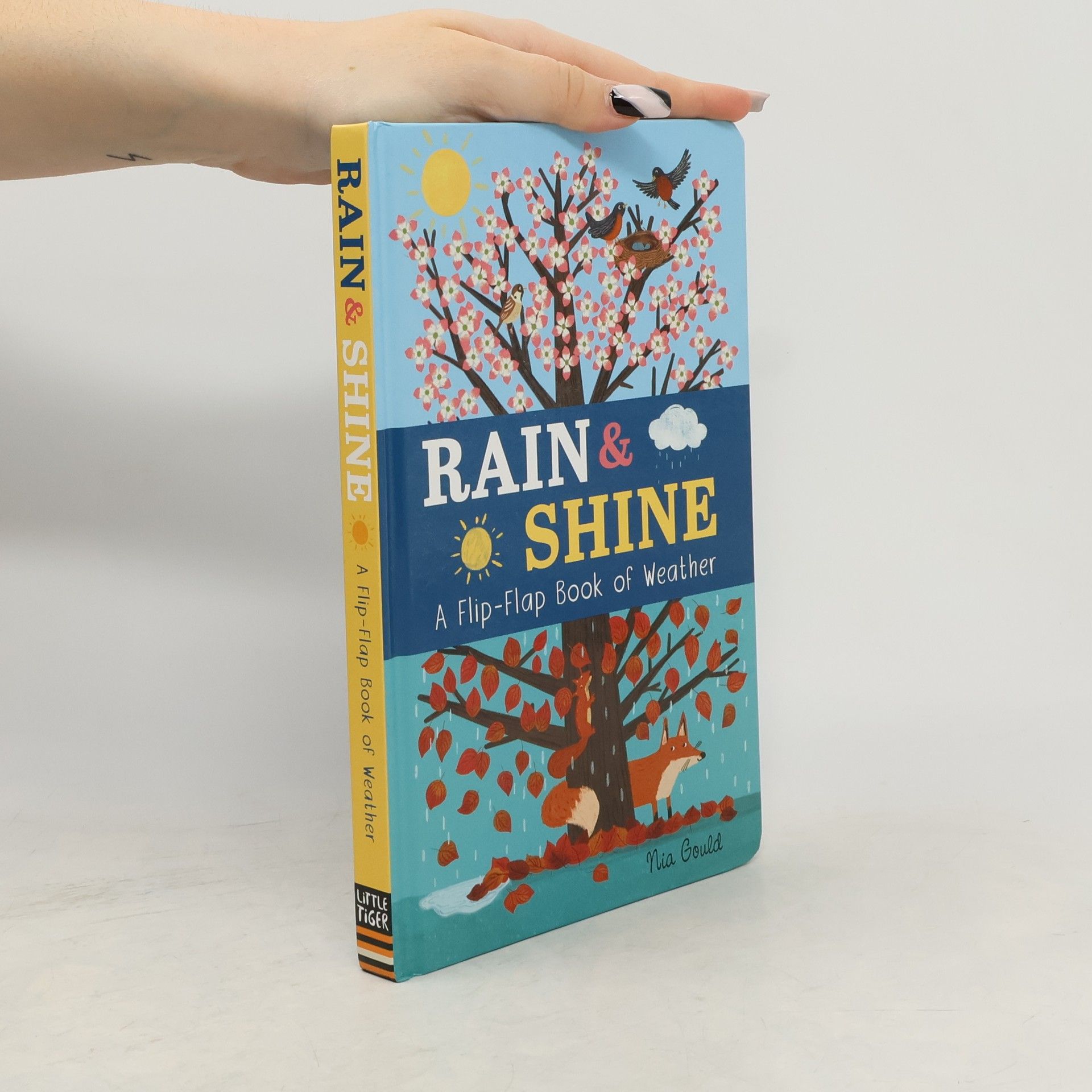 Rain & Shine: A Flip-Flap Book of Weather