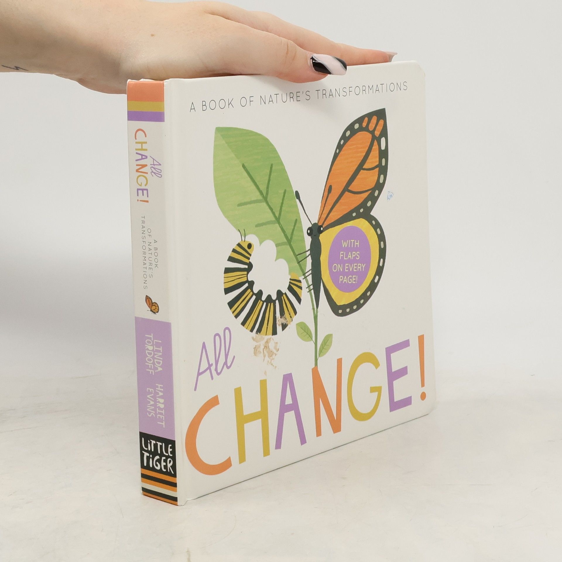 Harriet Evans All Change