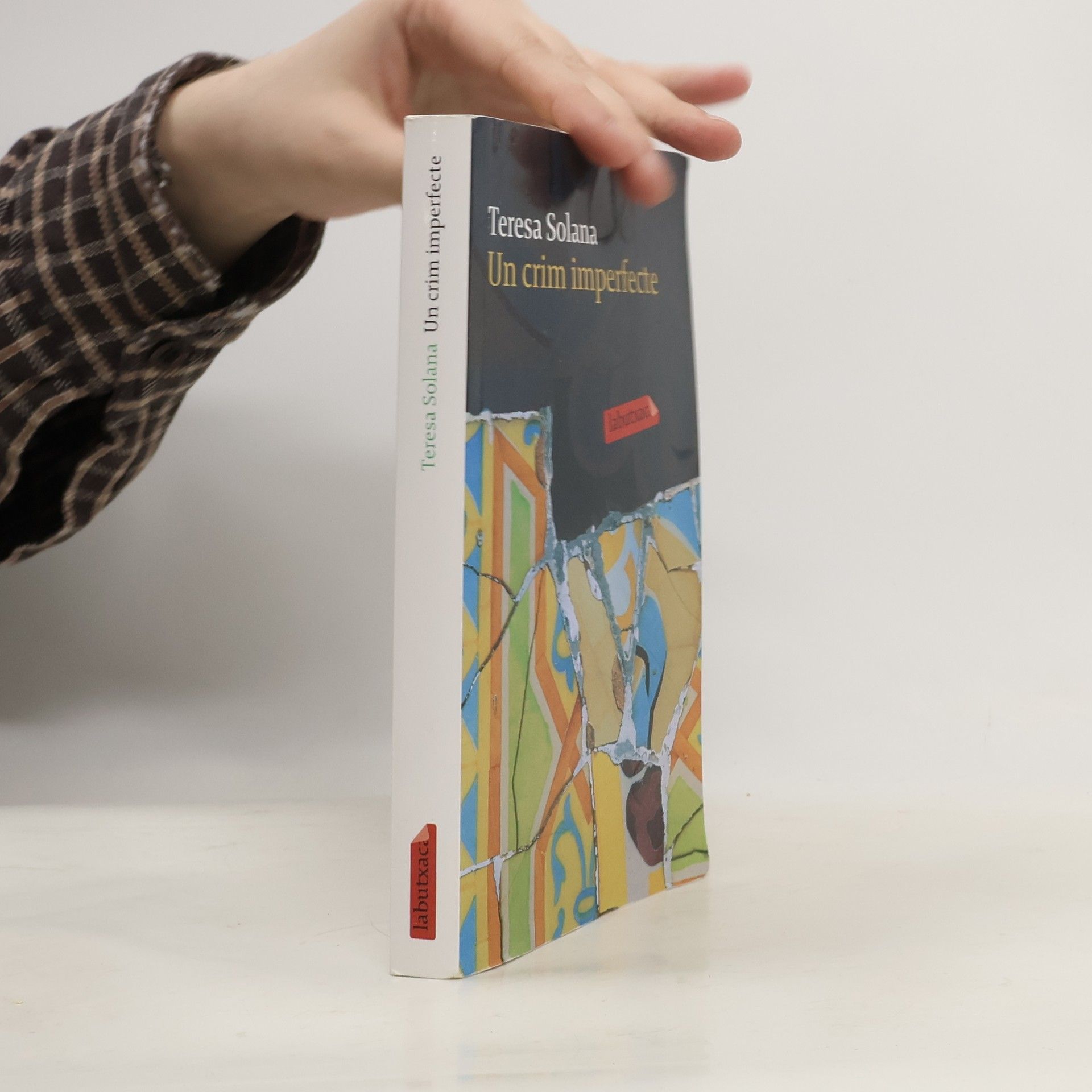 Teresa Solana Un crim imperfecte