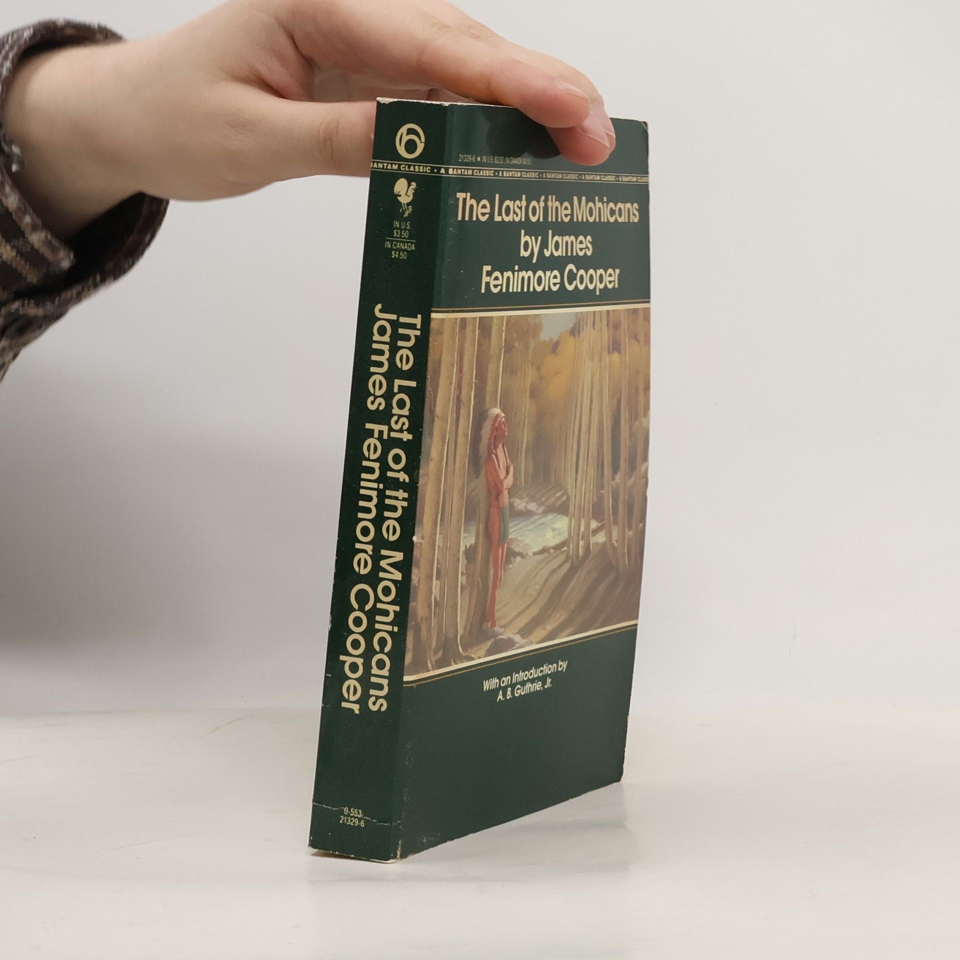 James Fenimore Cooper The last of the Mohicans