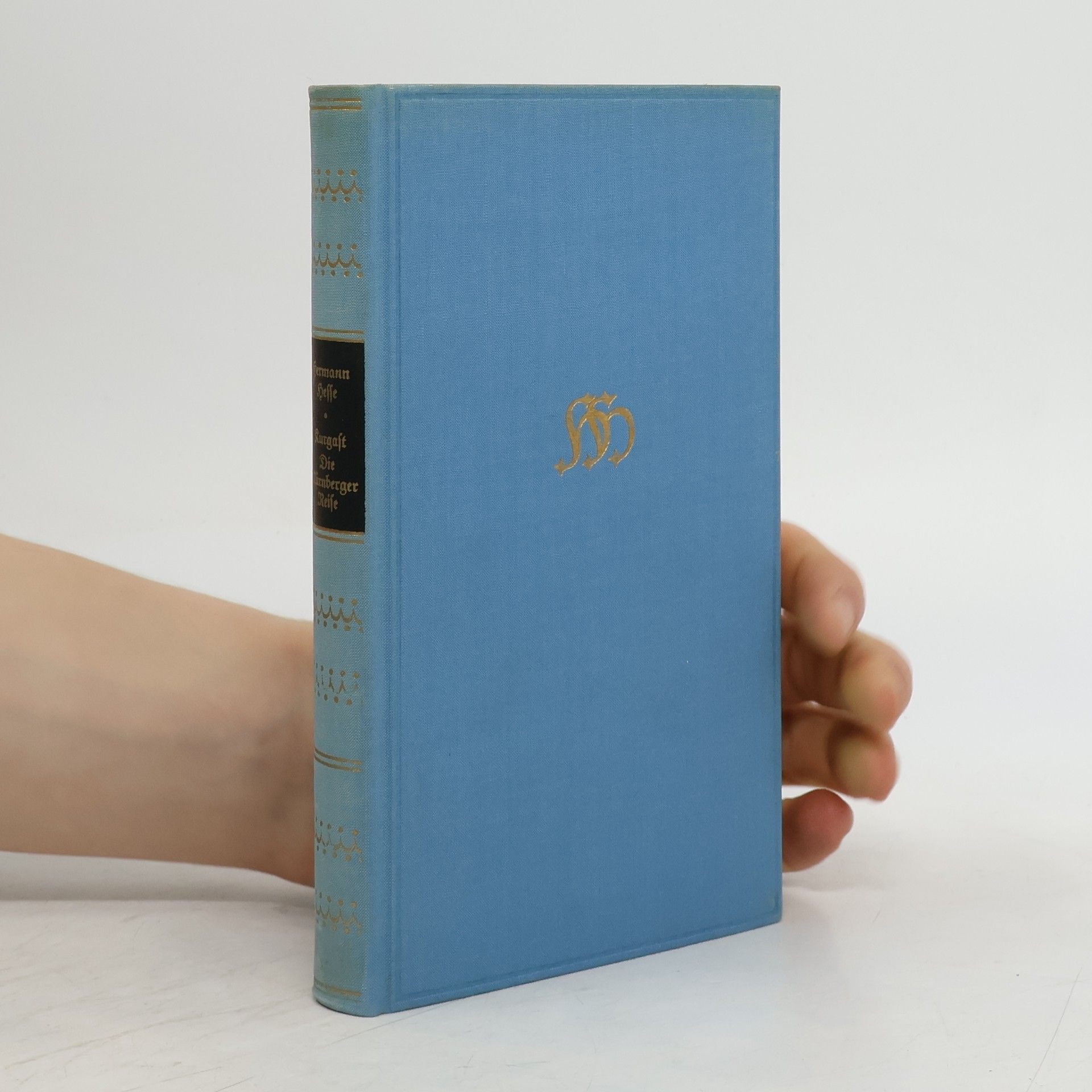 Hermann Hesse Kurgast. Die Nürnberger Reise