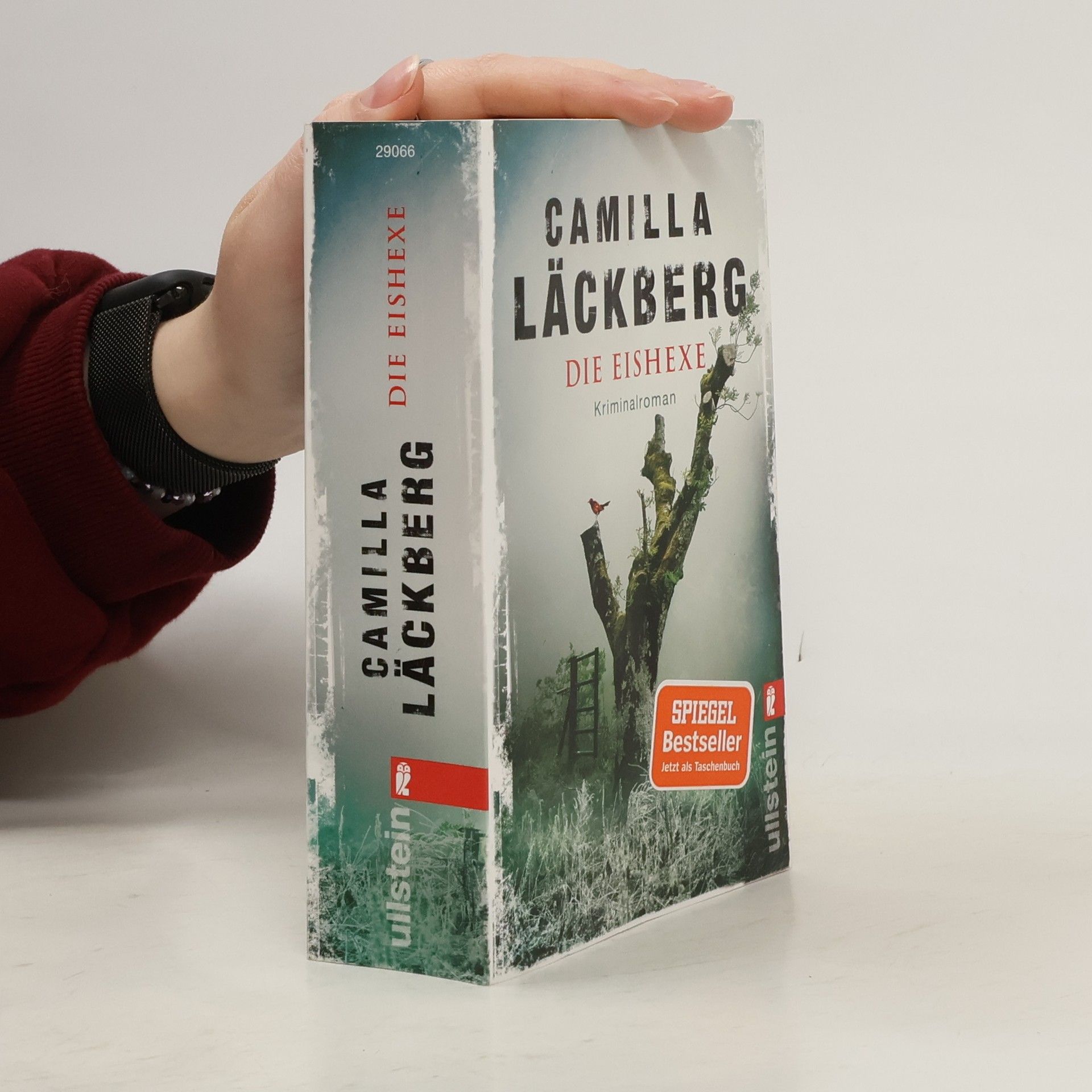 Camilla Läckberg Die Eishexe