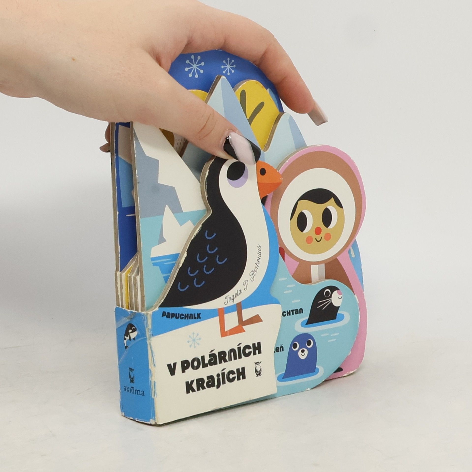 Autorenkollektiv V polárních krajích