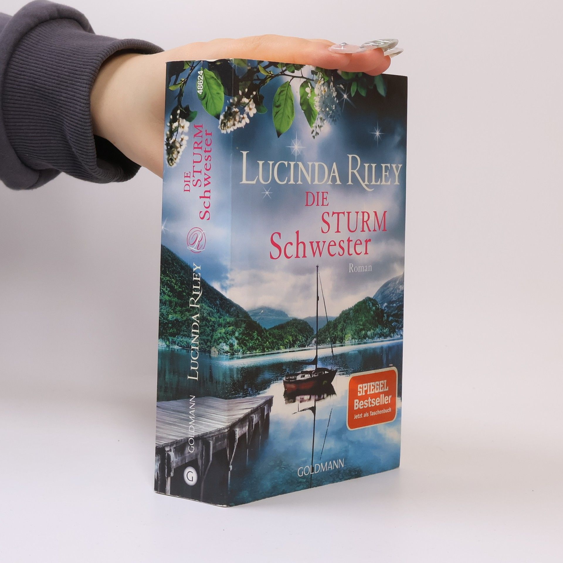 Lucinda Riley Die Sturmschwester