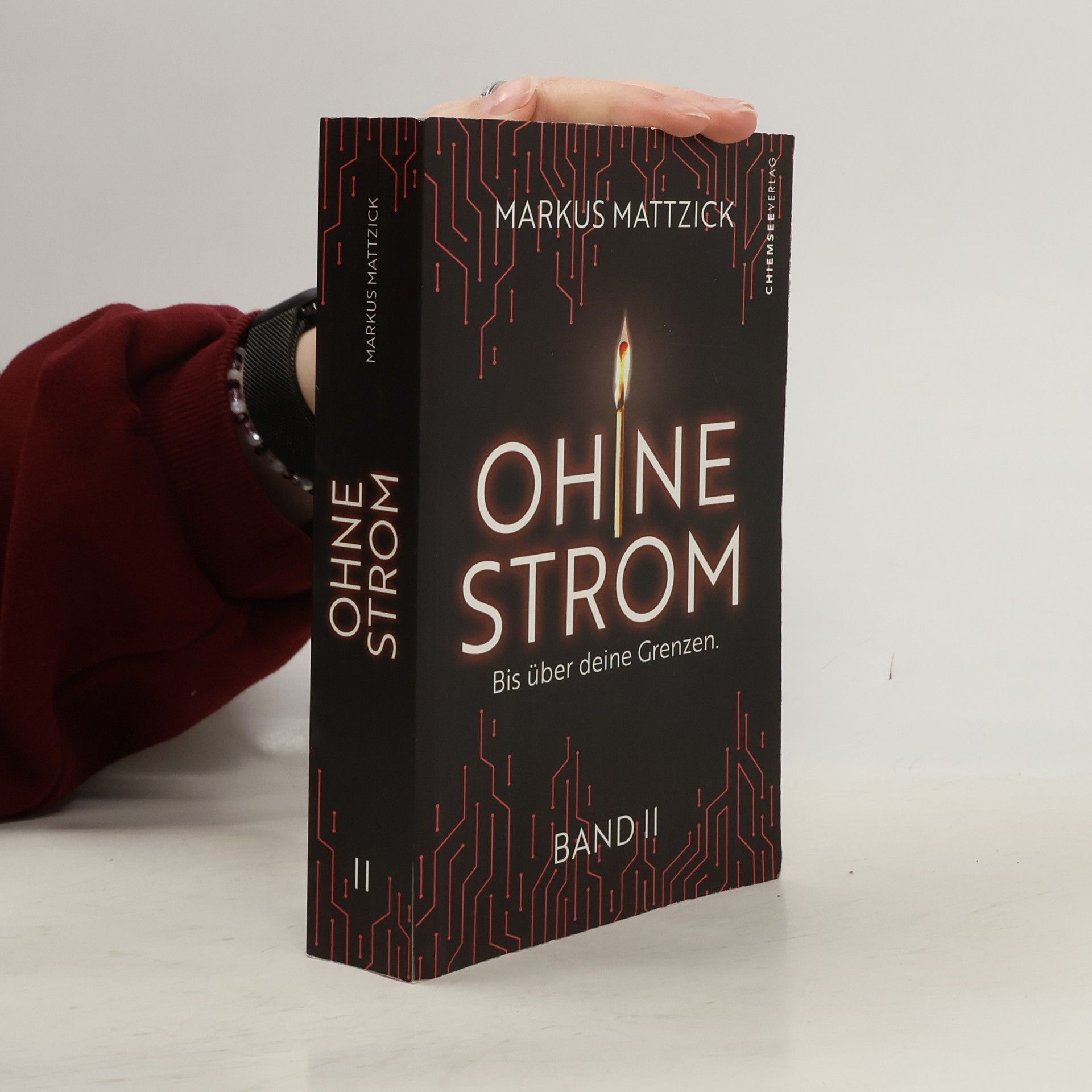 Ohne Strom - Bis über deine Grenzen (Band 2)