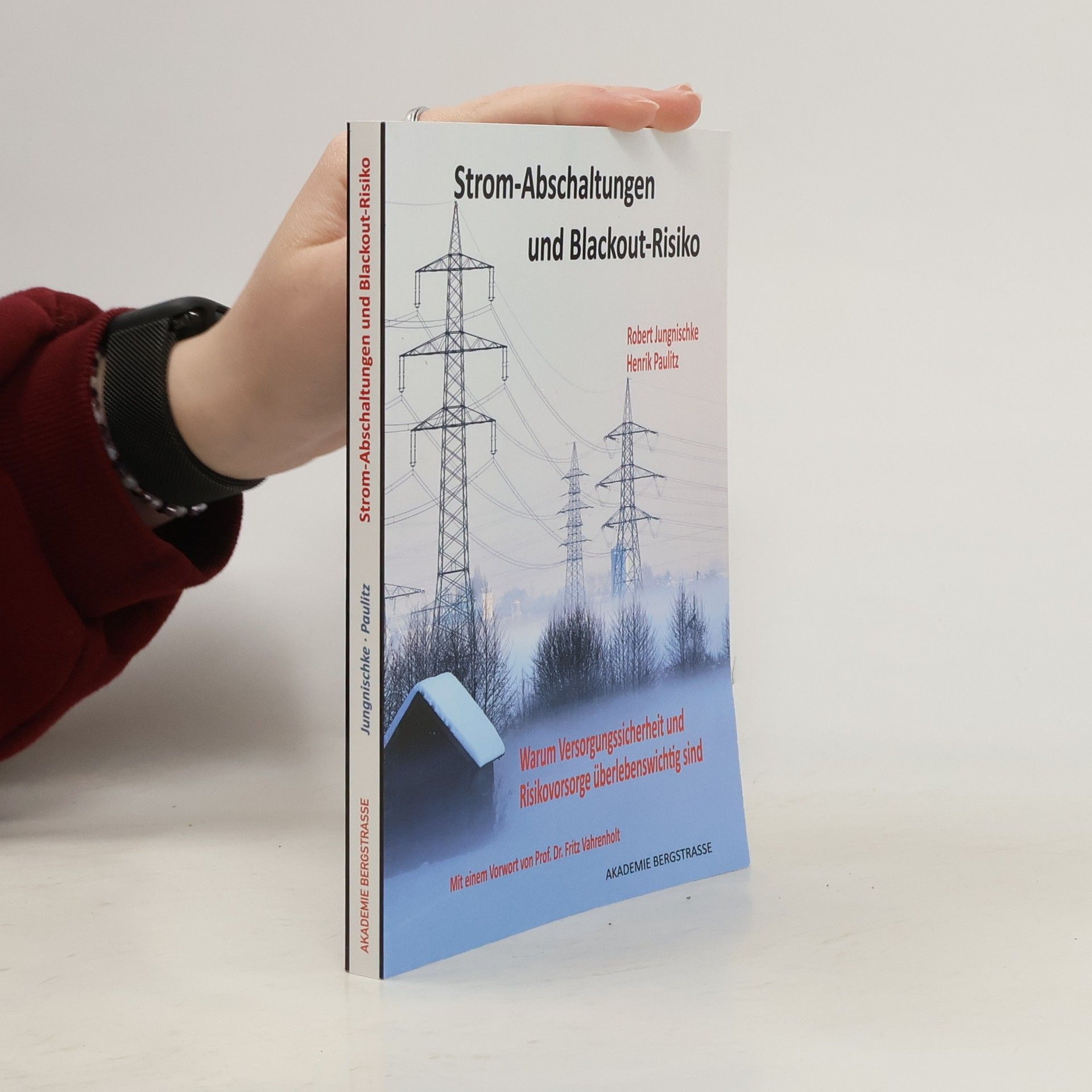 Strom-Abschaltungen und Blackout-Risiko