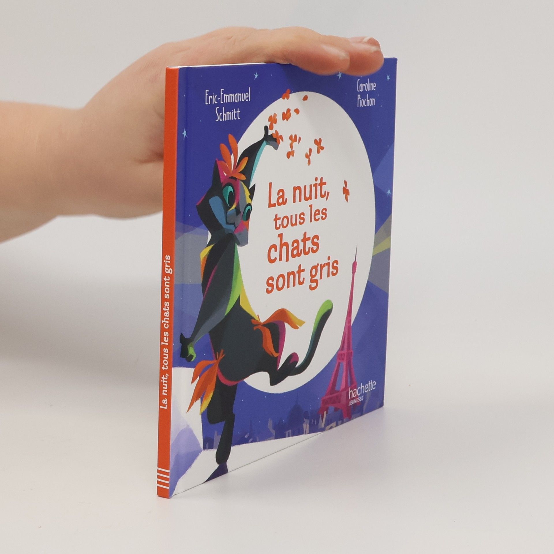 La nuit, tous les chats sont gris