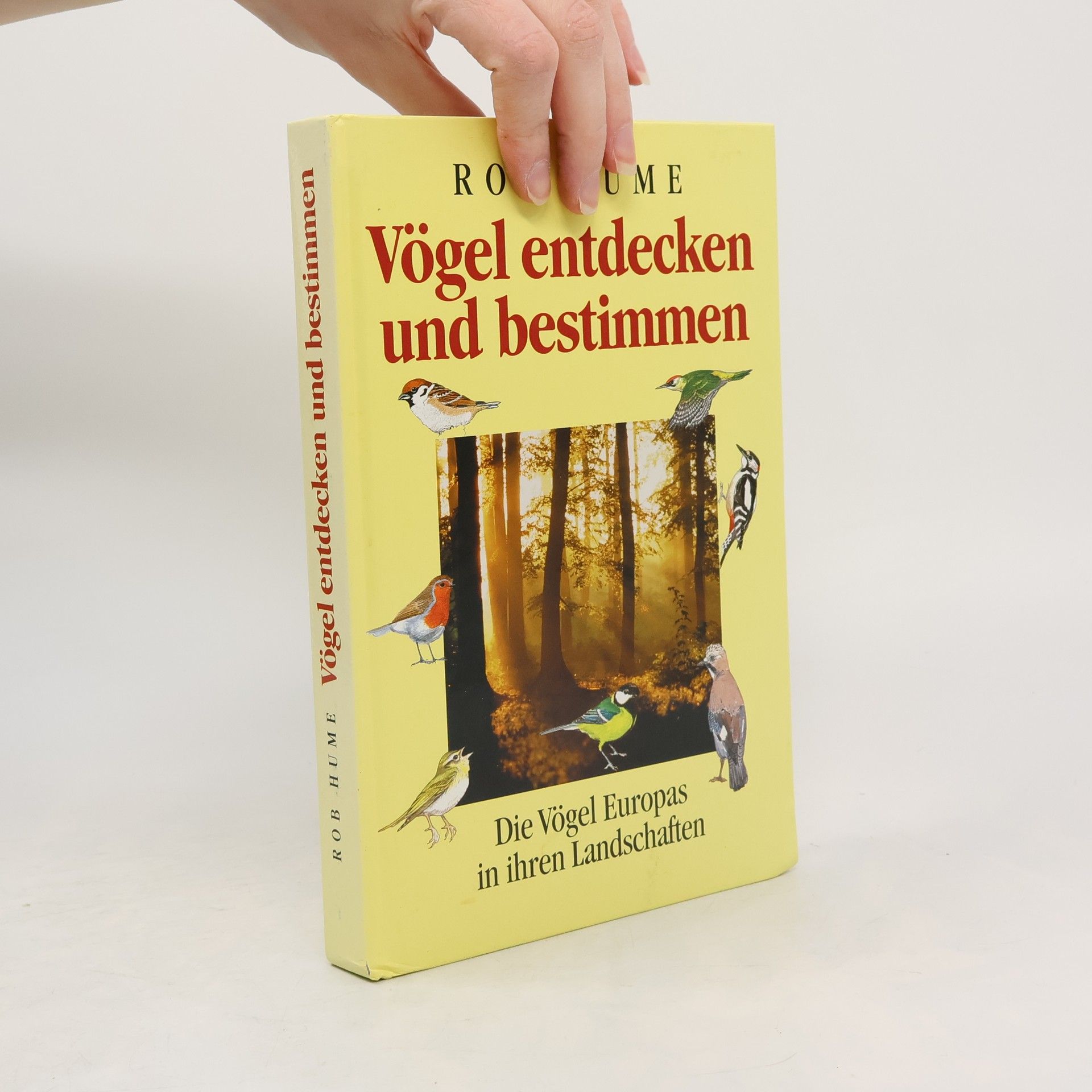 Rob Hume Vögel entdecken und bestimmen