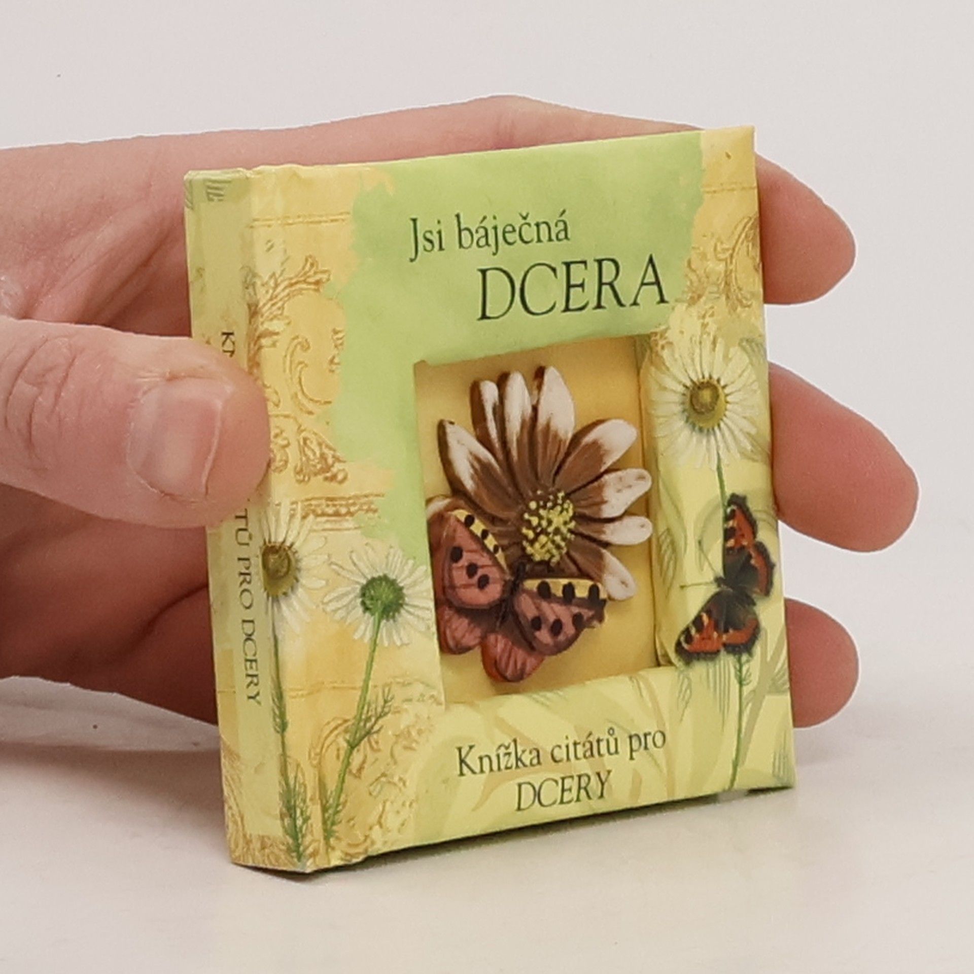 AA.VV. Jsi báječná dcera