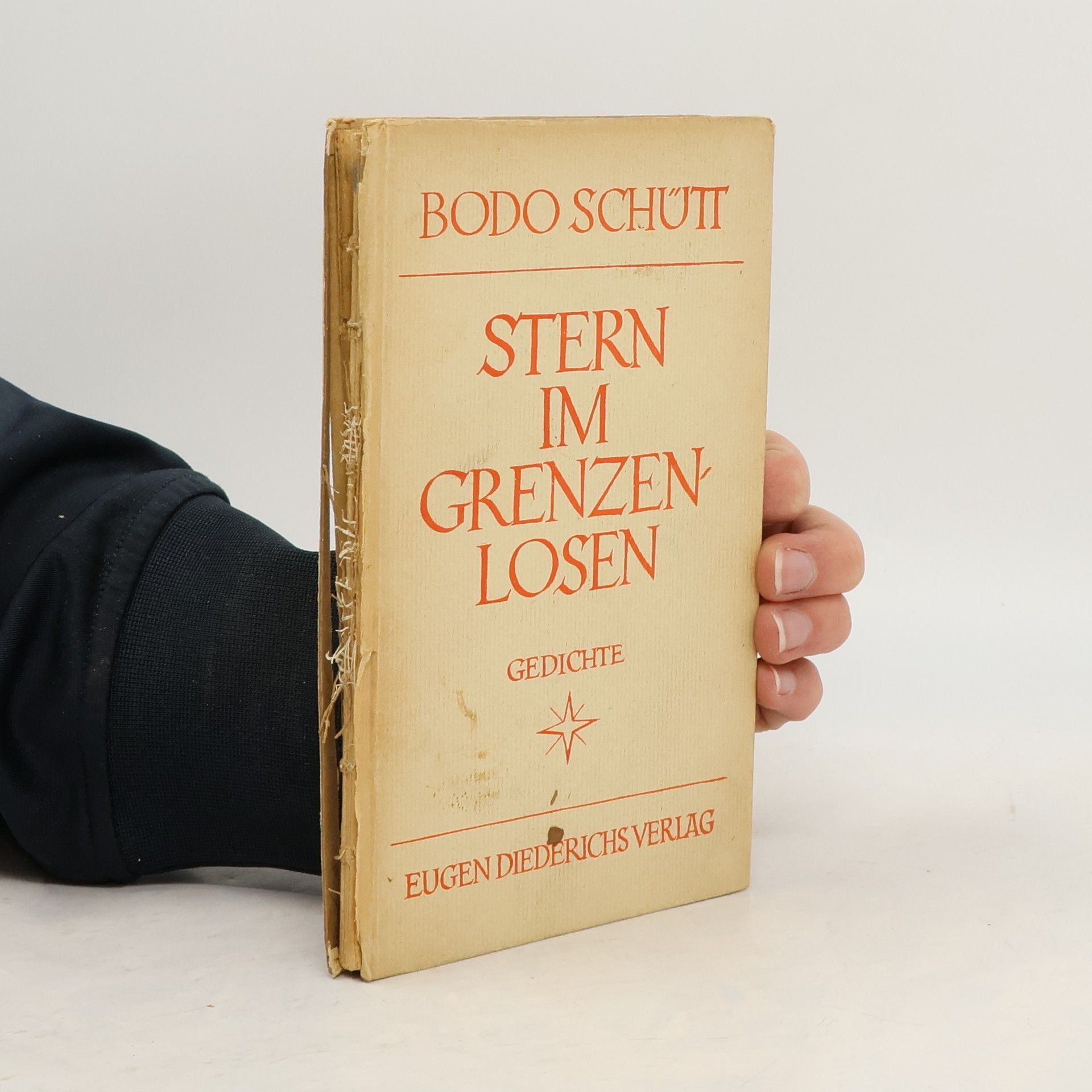 Bodo Schütt Stern im Grenzenlosen