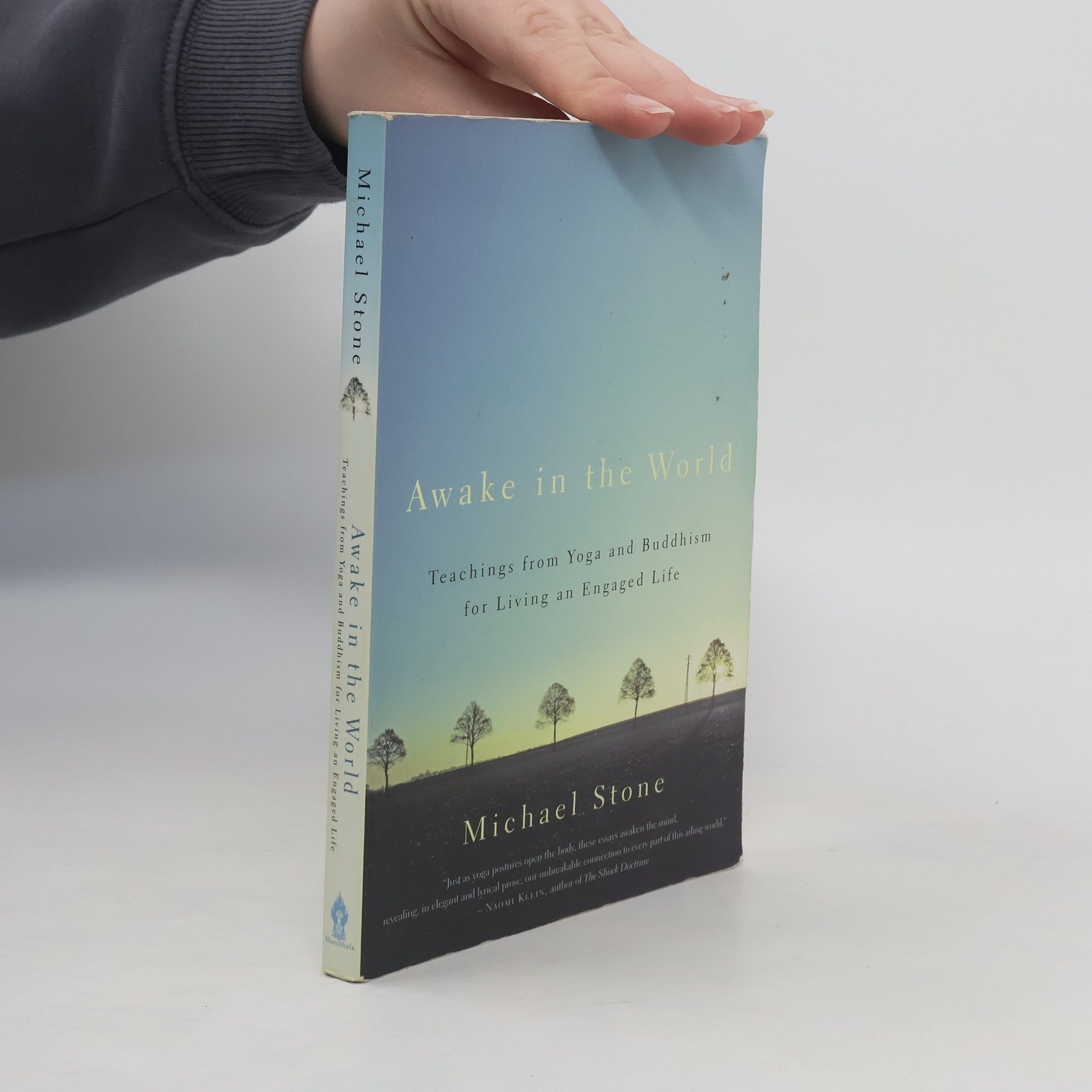 Michael Stone Awake in the World