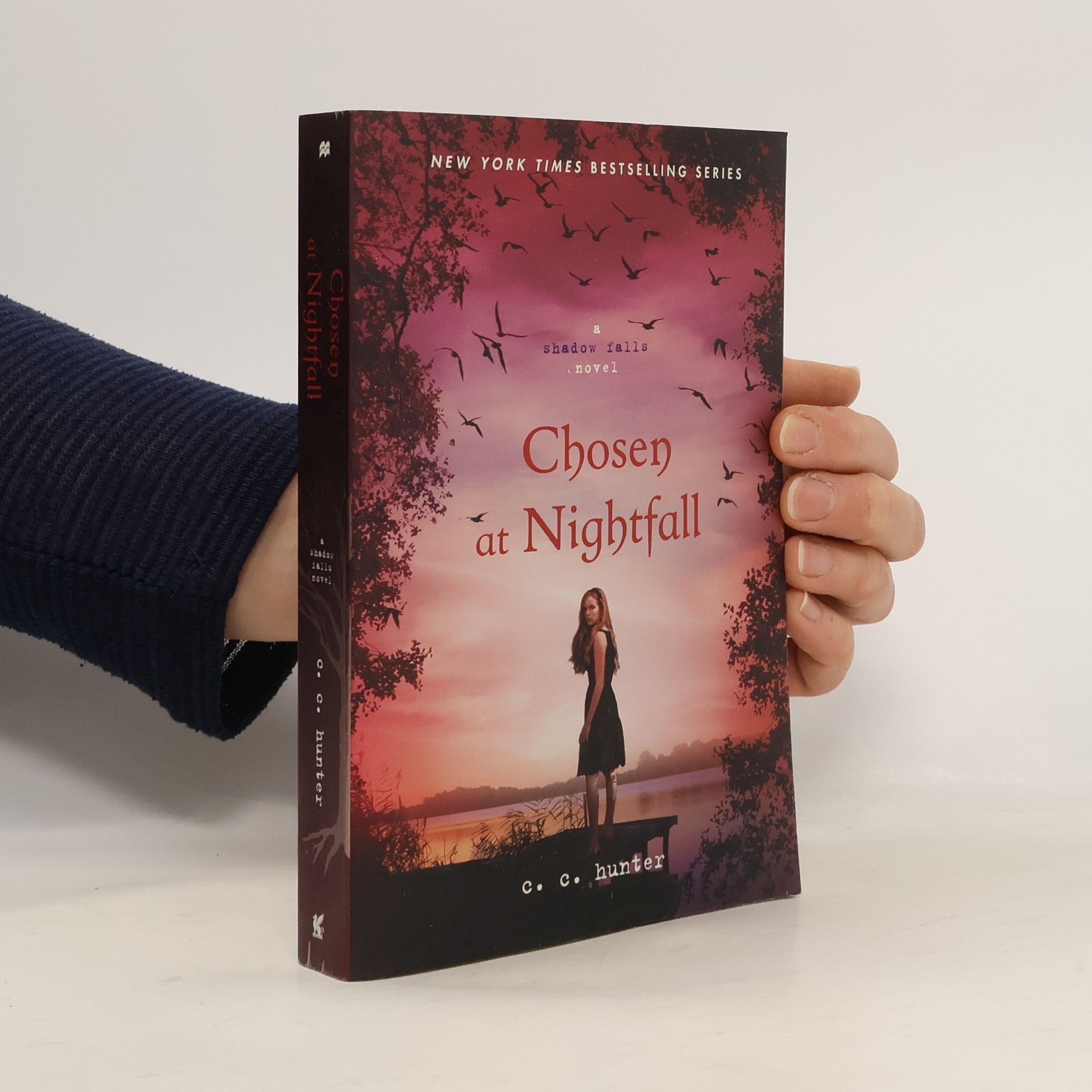 C.C. Hunter Chosen at Nightfall