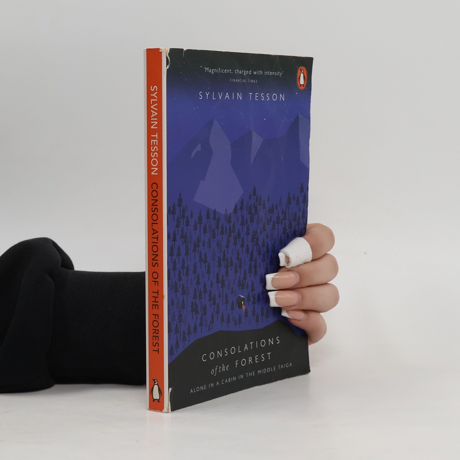 Consolations of the Forest. In den Wäldern Sibiriens, englische Ausgabe