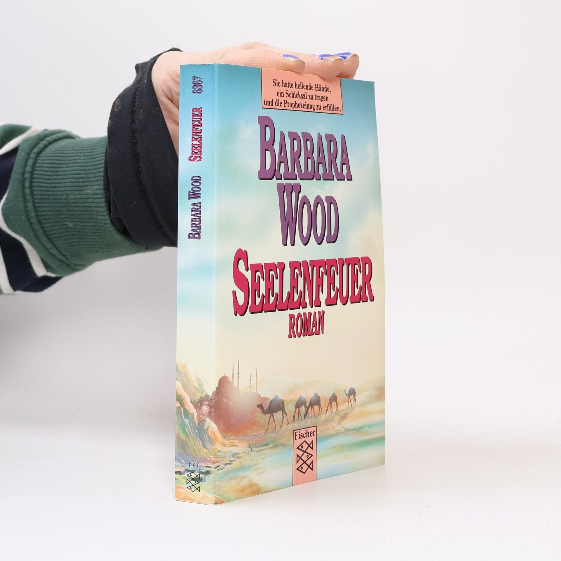 Barbara Wood Seelenfeuer