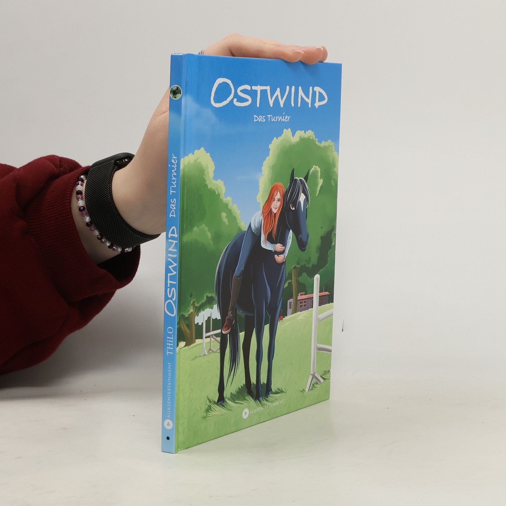 Thilo Ostwind - das Turnier