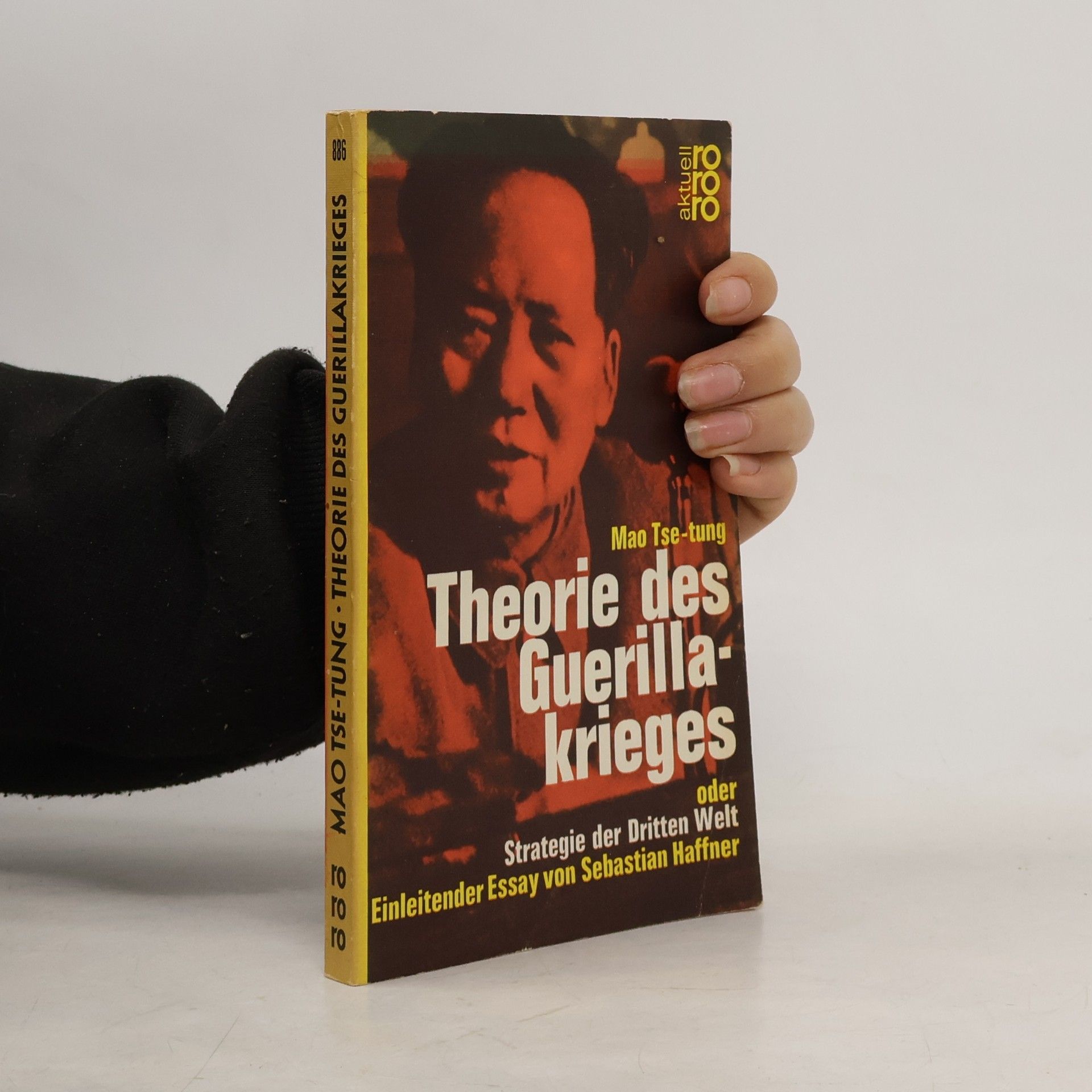 Theorie des Guerillakrieges