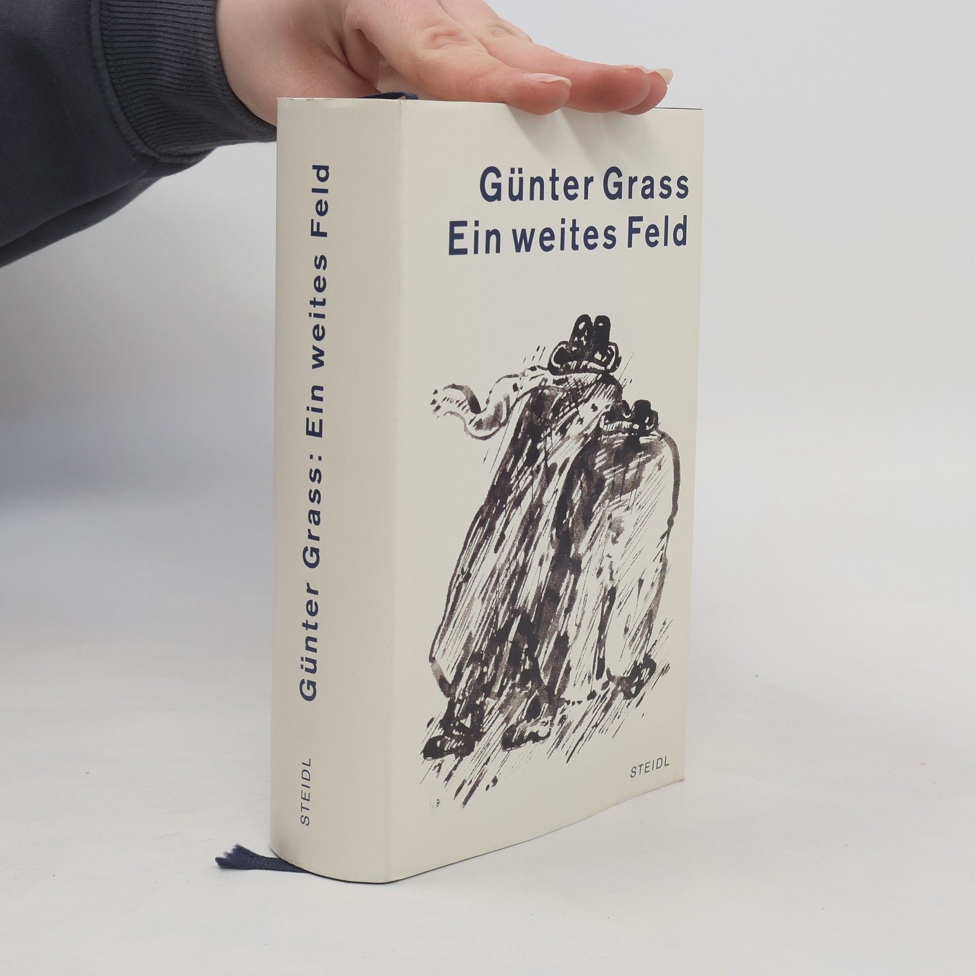 Günter Grass Ein weites Feld