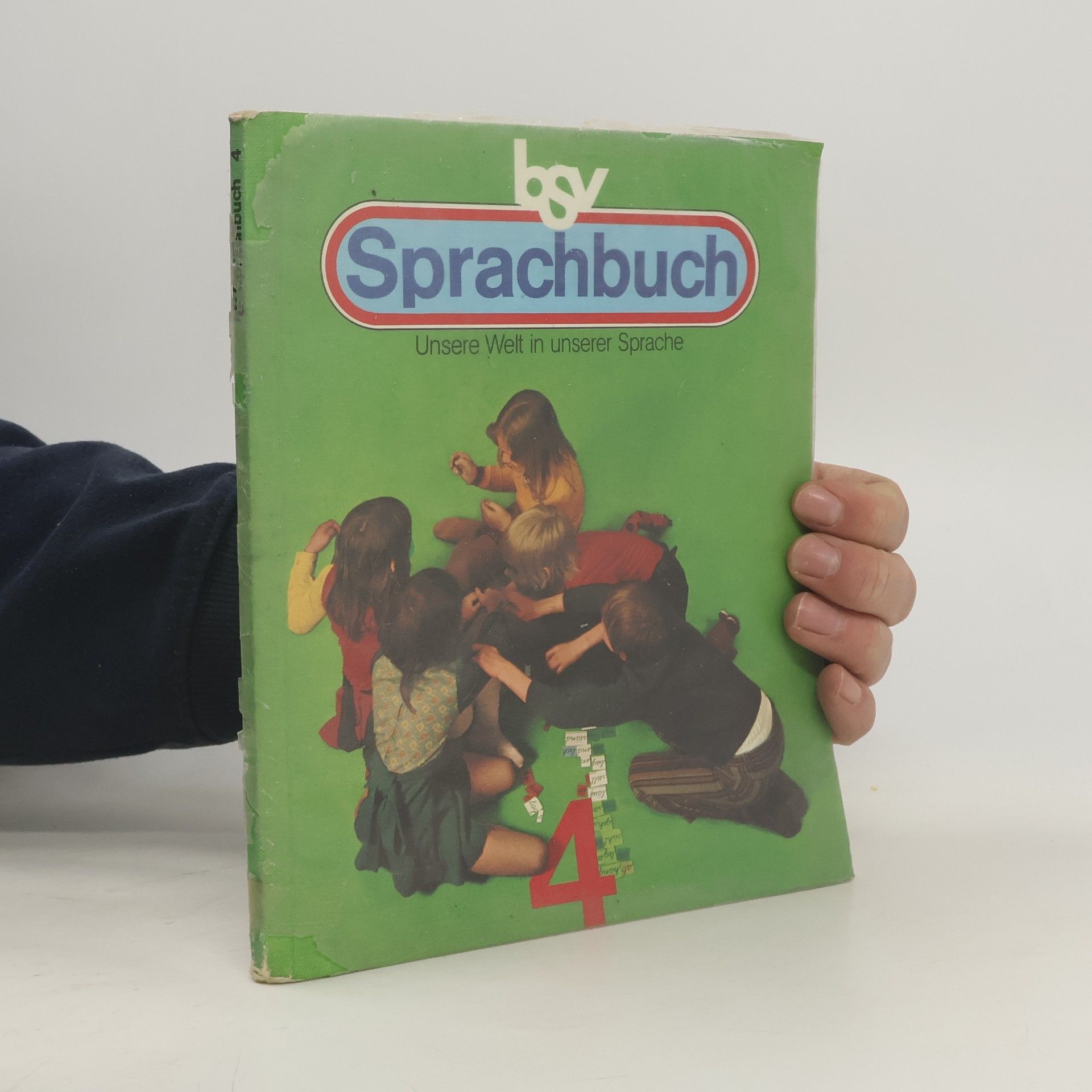 Kolektiv autorů Bsv-Sprachbuch