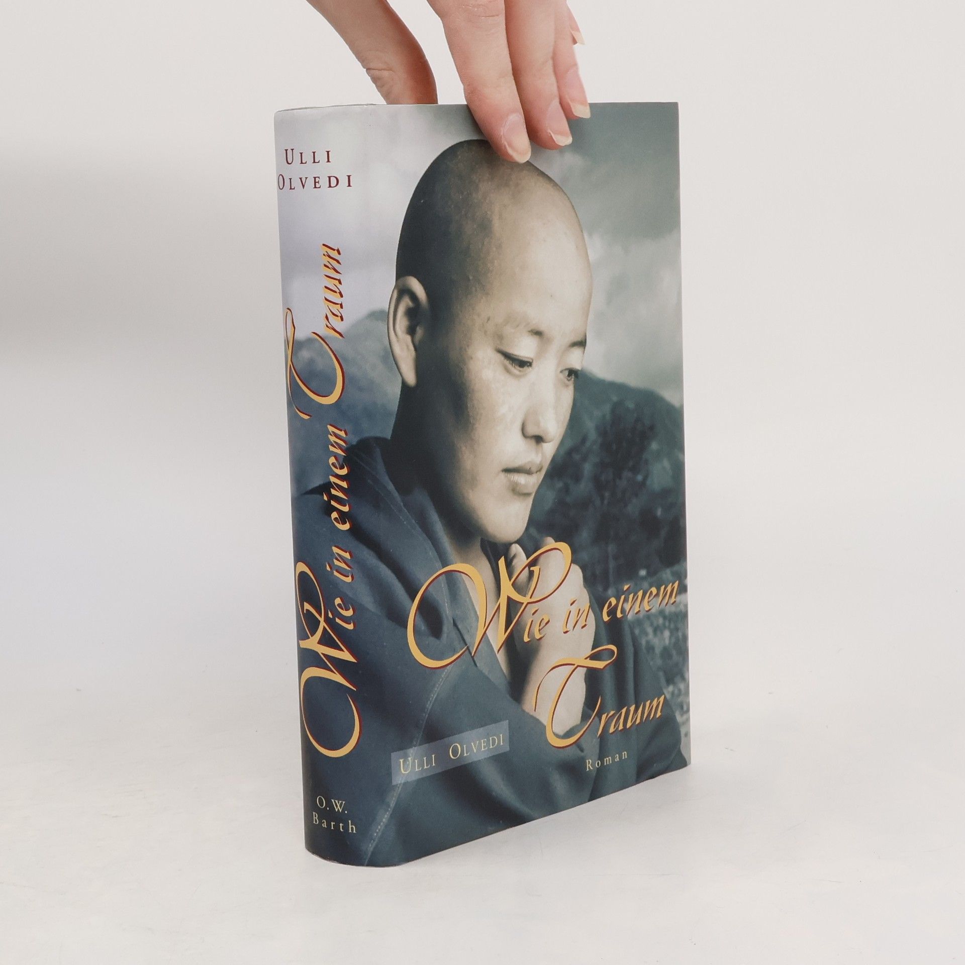 Ulli Olvedi Wie in einem Traum