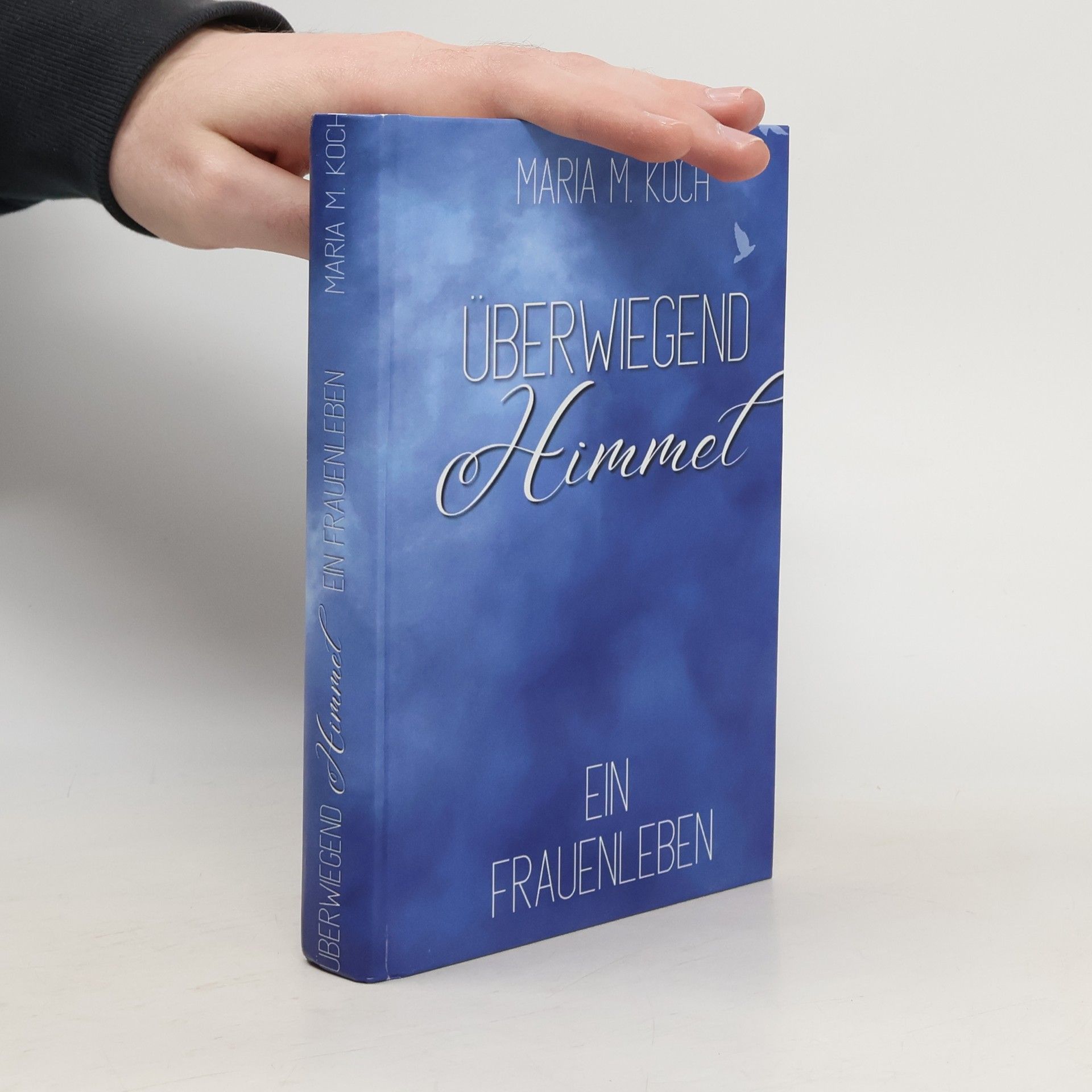 Überwiegend Himmel. Ein Frauenleben