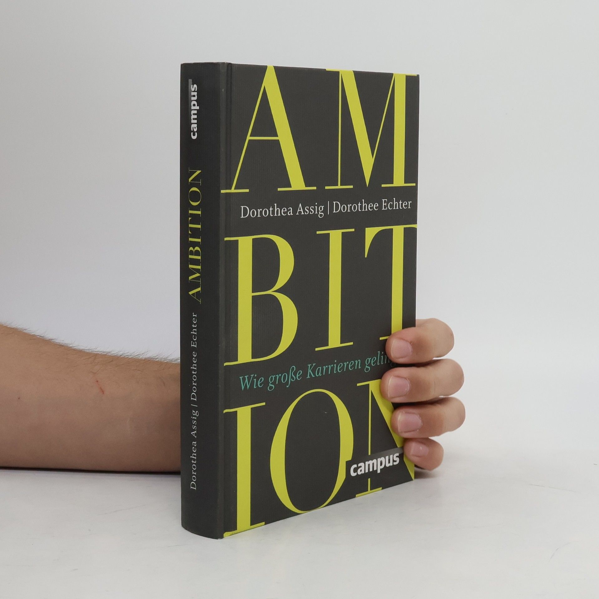 Dorothee Echter Ambition. Wie große Karrieren gelingen