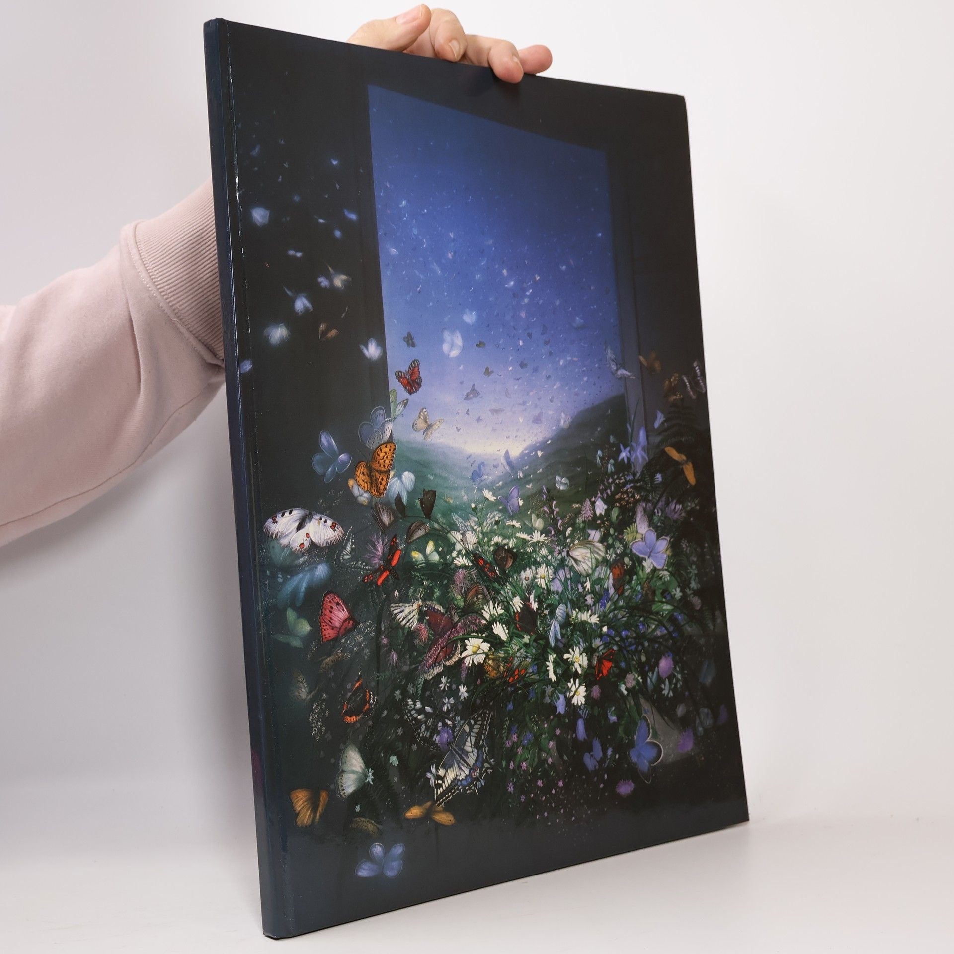 Friedrich Hechelmann Das große Bilderbuch zum Schreiben