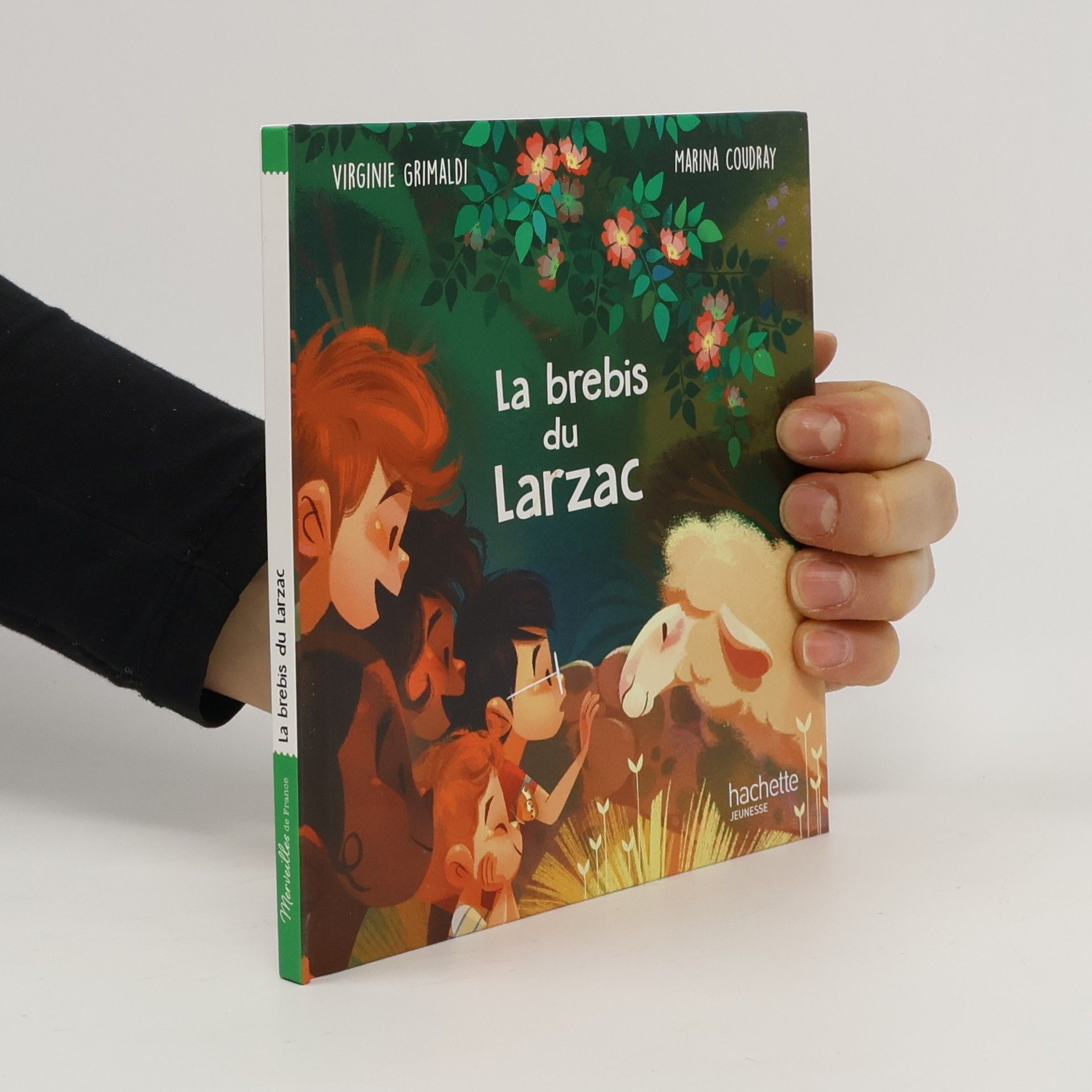 La brebis du Larzac