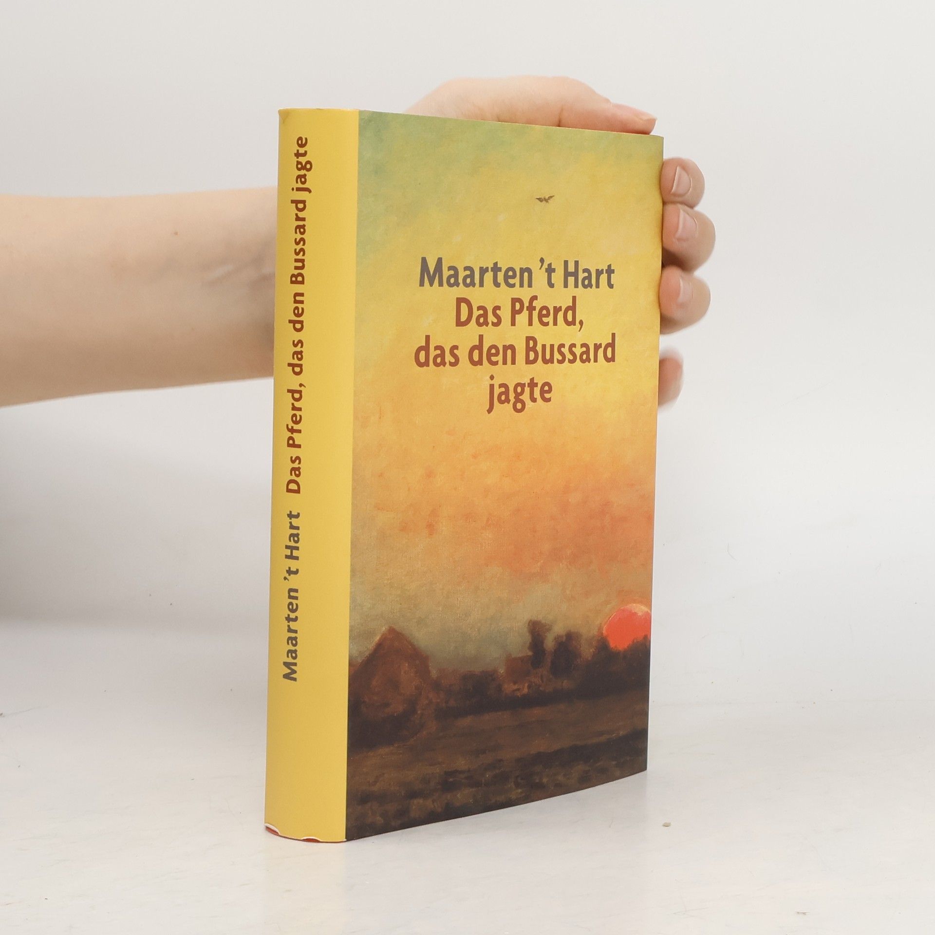 Maarten 't Hart Das Pferd, das den Bussard jagte