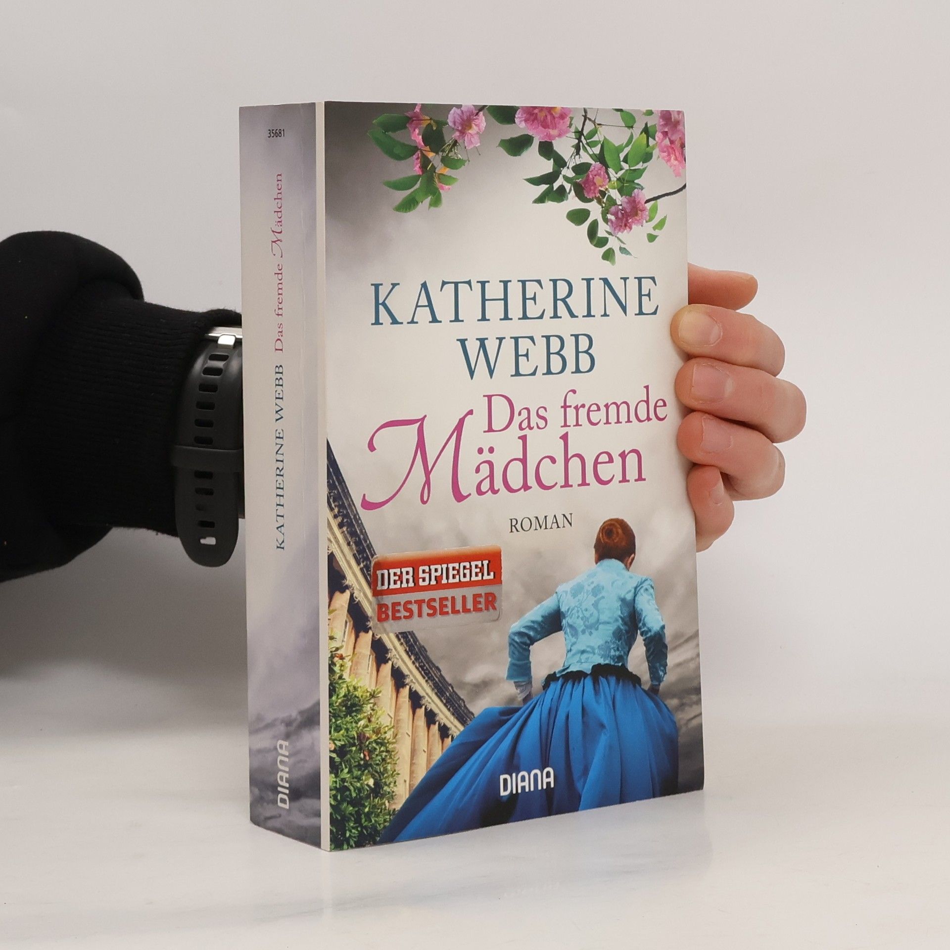 Katherine Webb Das fremde Mädchen