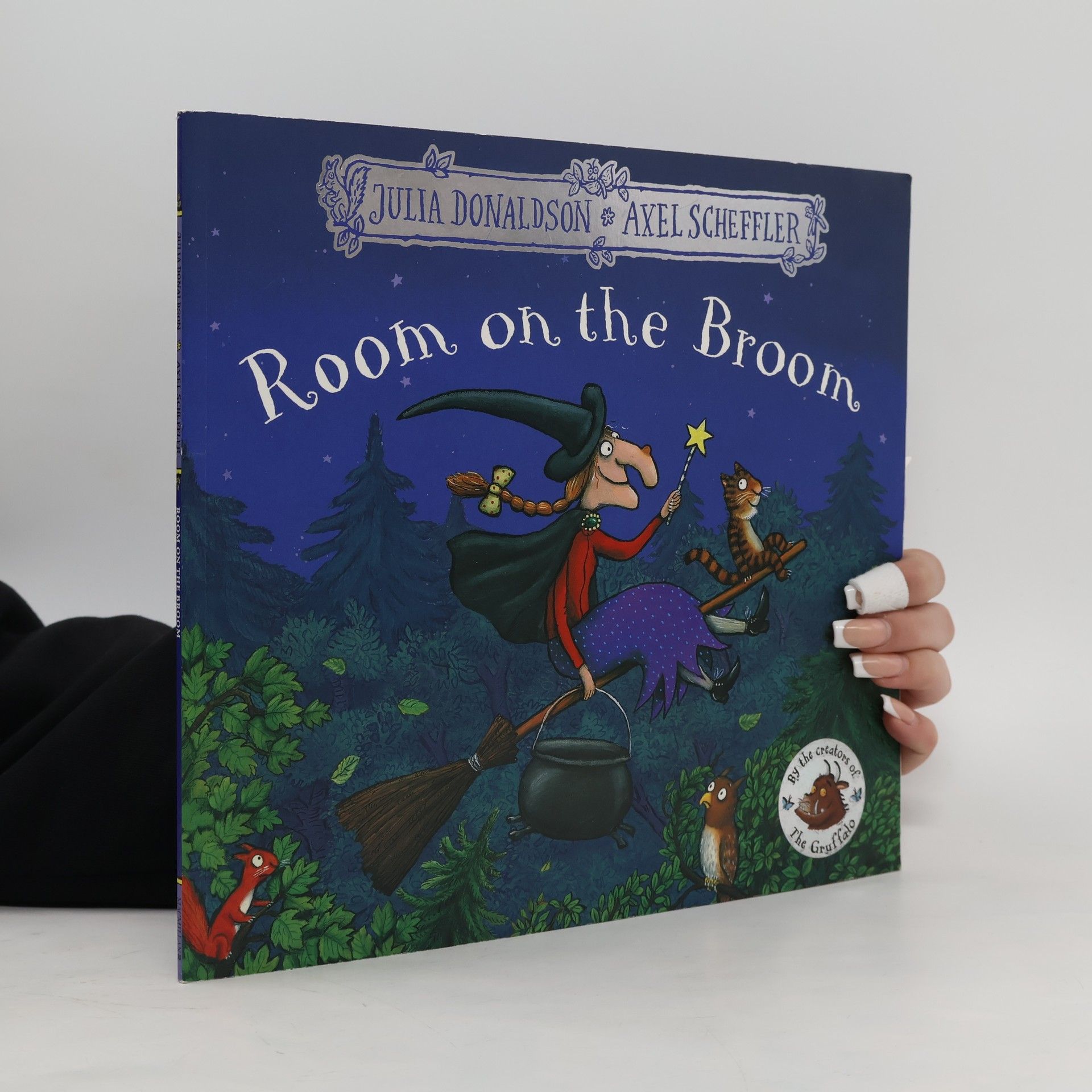 Julia Donaldson Room on the Broom