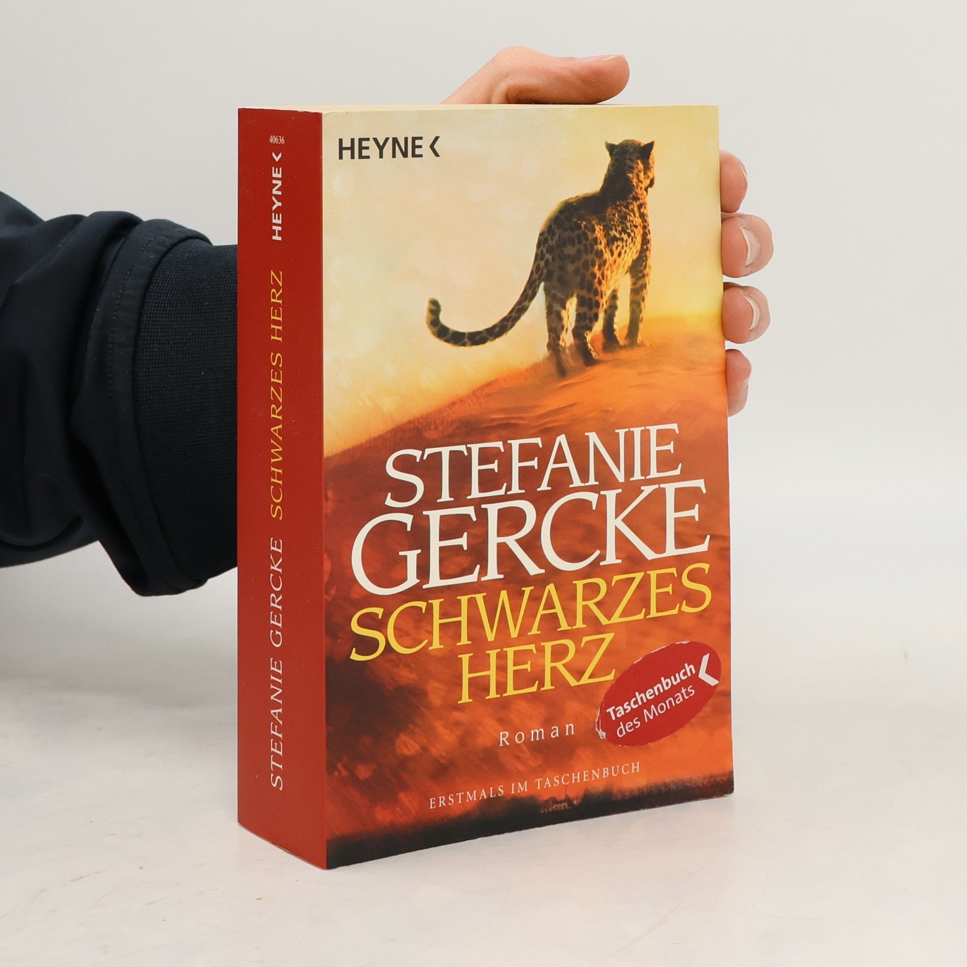 Stefanie Gercke Schwarzes Herz