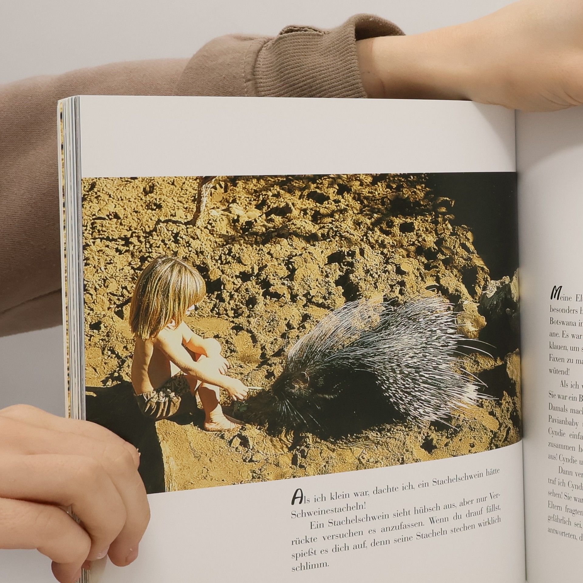 Tippi Degré Tippi aus Afrika