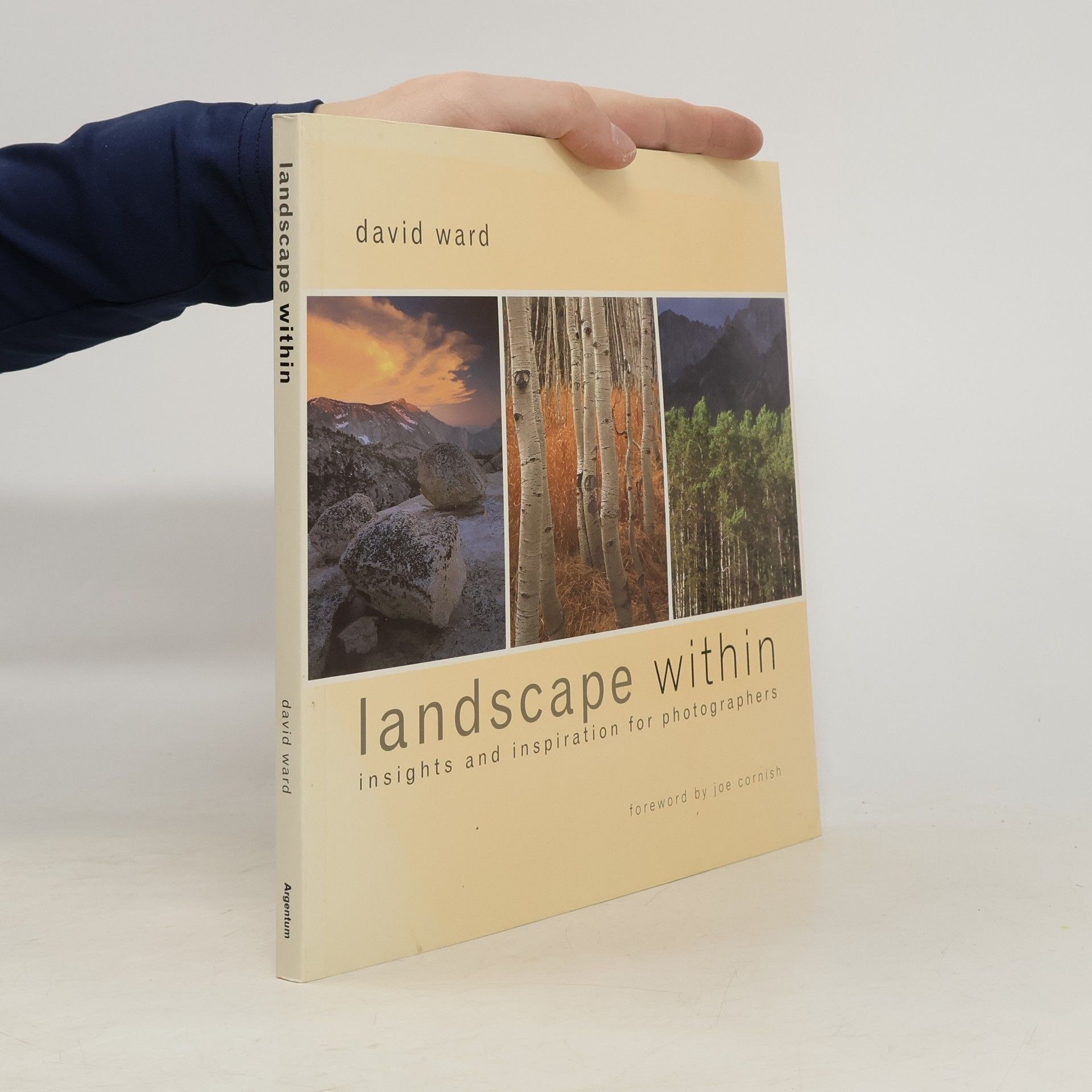 David Ward Landscape Within