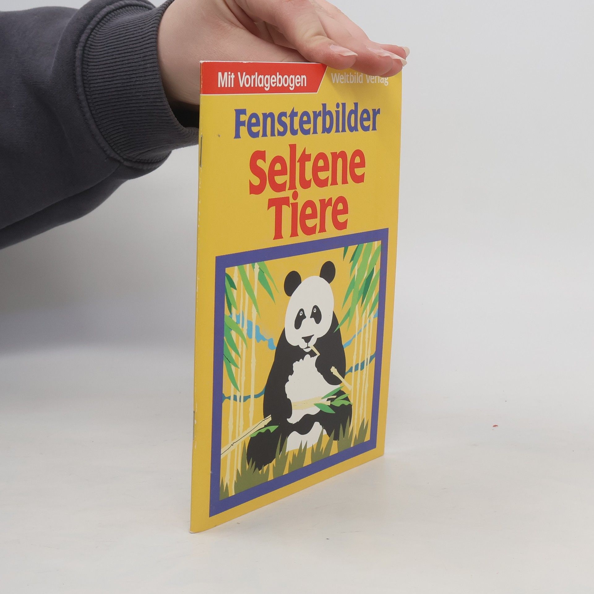 Martin Stiefenhofer Schöne alte Kinderspiele