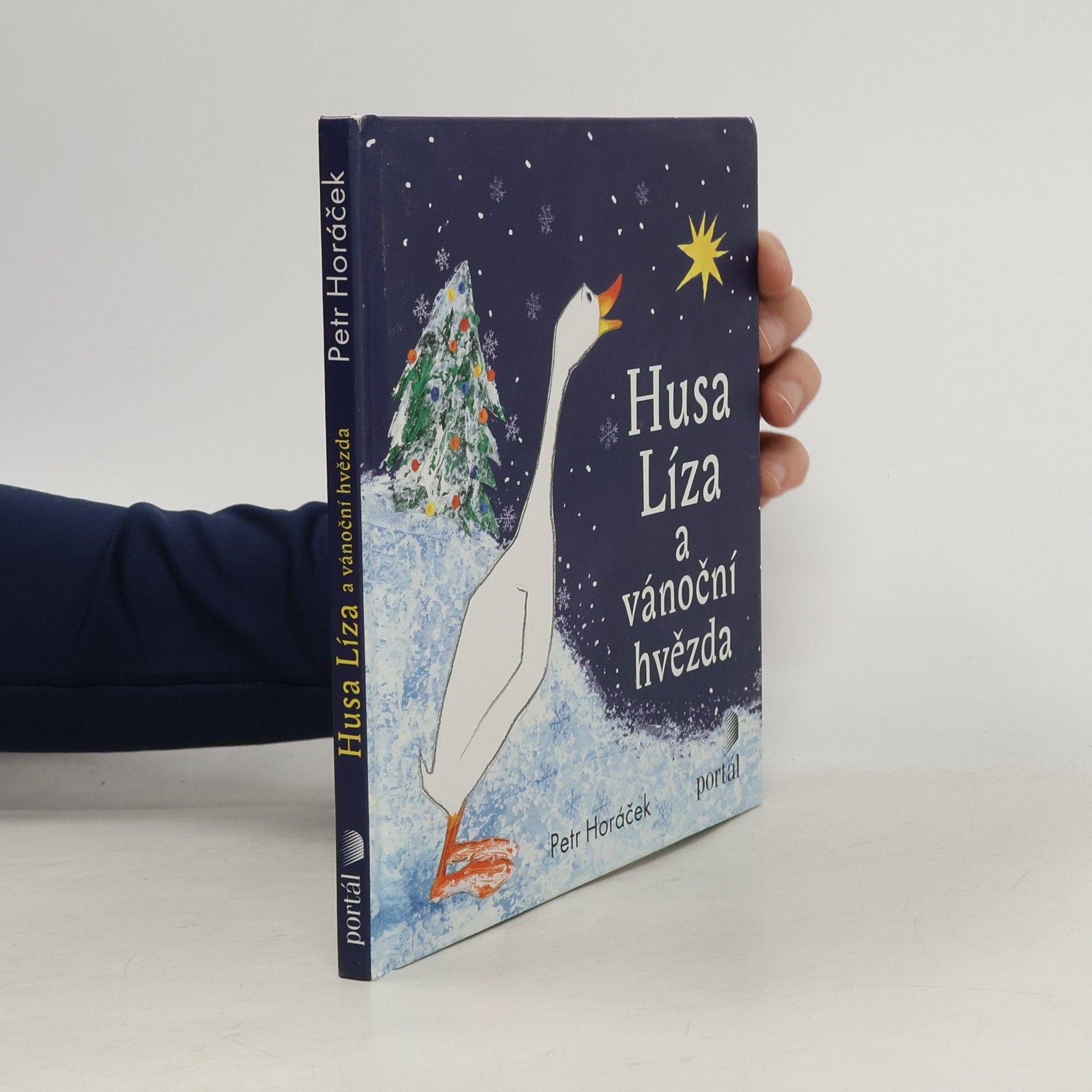 Petr Horácek Husa Líza a vánoční hvězda