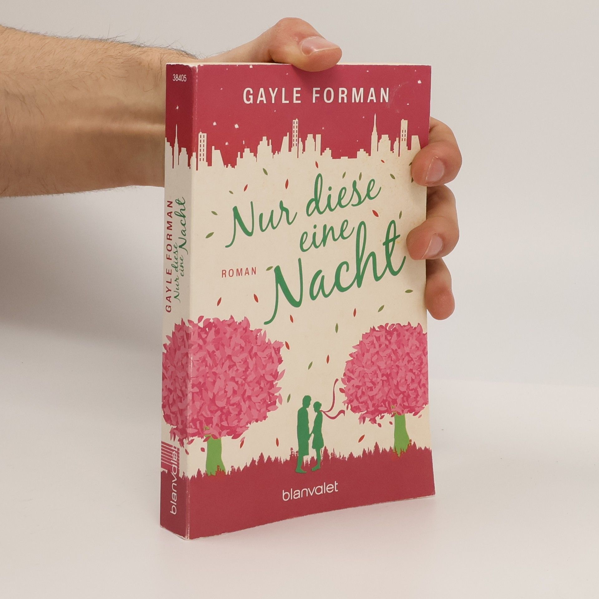 Gayle Forman Nur diese eine Nacht