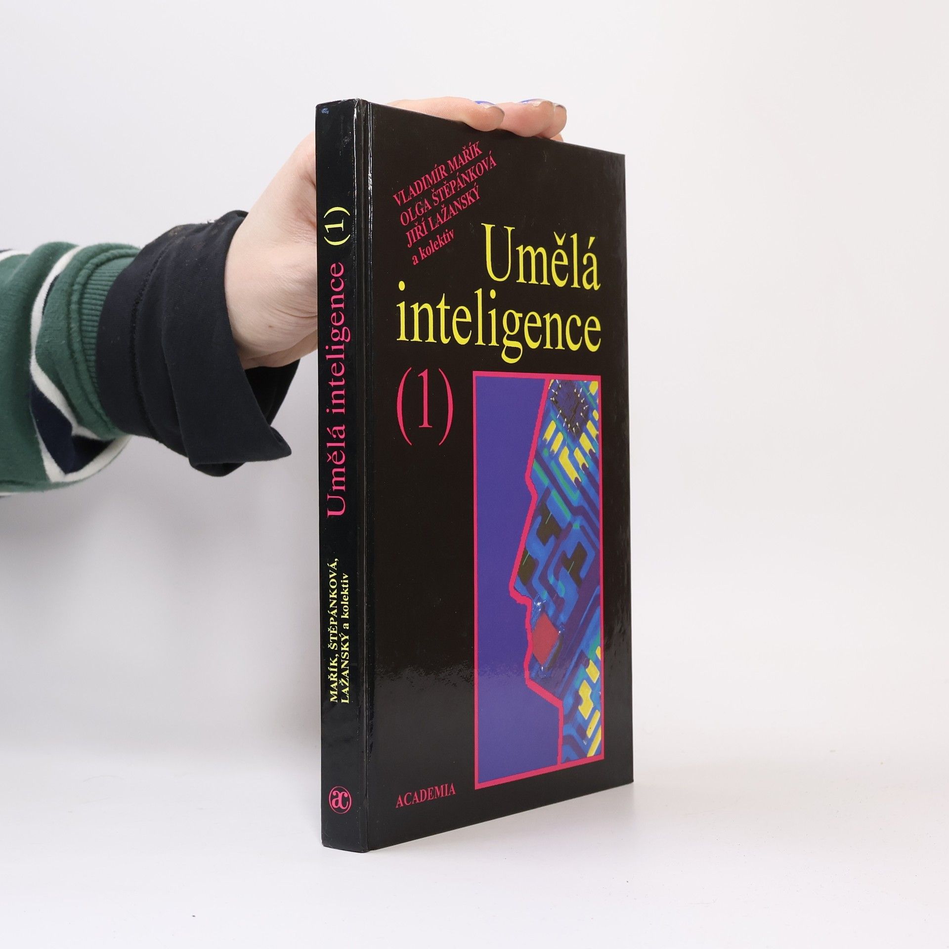 Umělá inteligence (1)