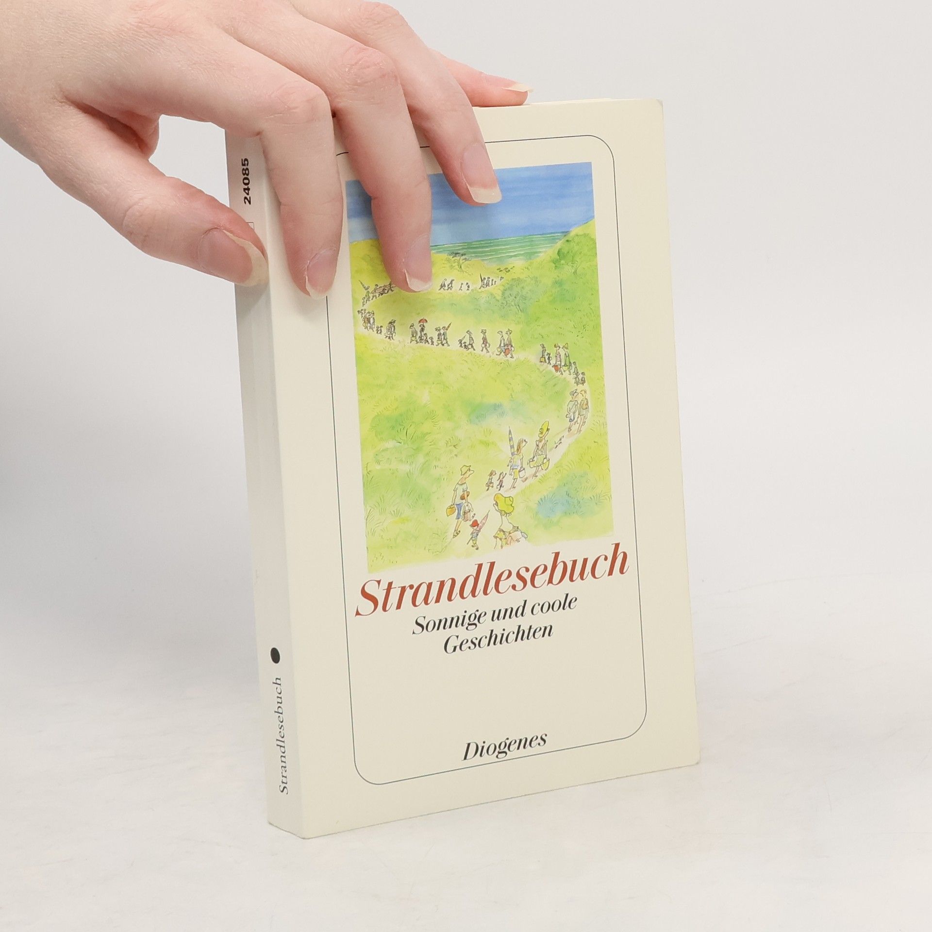 Daniel Kampa Strandlesebuch