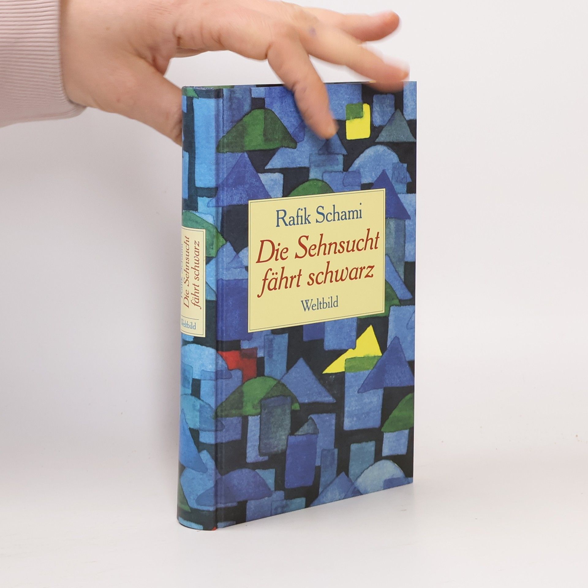 Rafik Schami Der Fliegenmalker